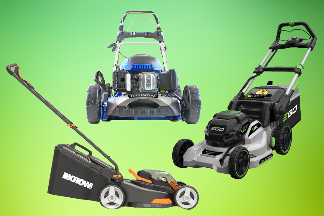 15 best lawnmowers to keep your garden healthy this summer, tried and tested