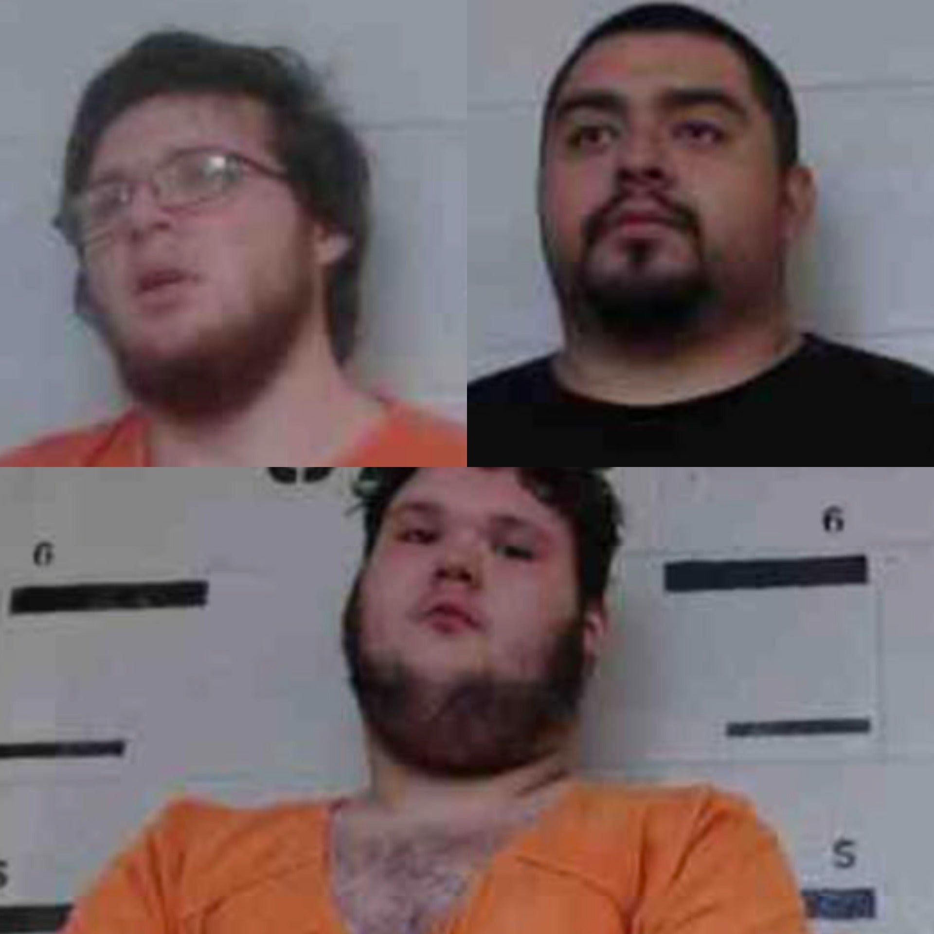 Dalton Terrell, top left, Andres Trejo-Velazquez, top right and William Chase McElroy, bottom