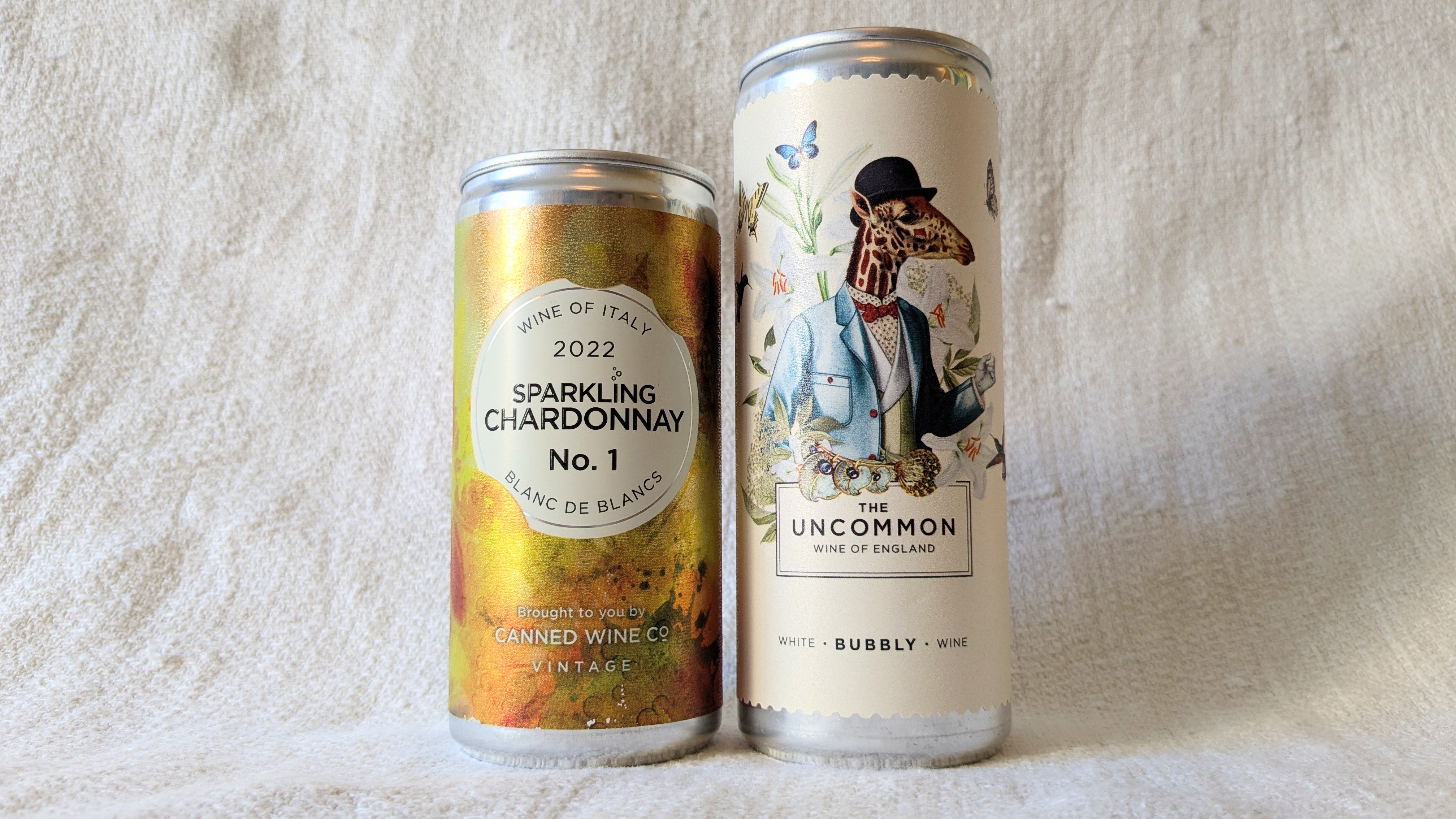 Proof that fizz in a can can still feel special – these sparkling wines are fresh, elegant and picnic-ready