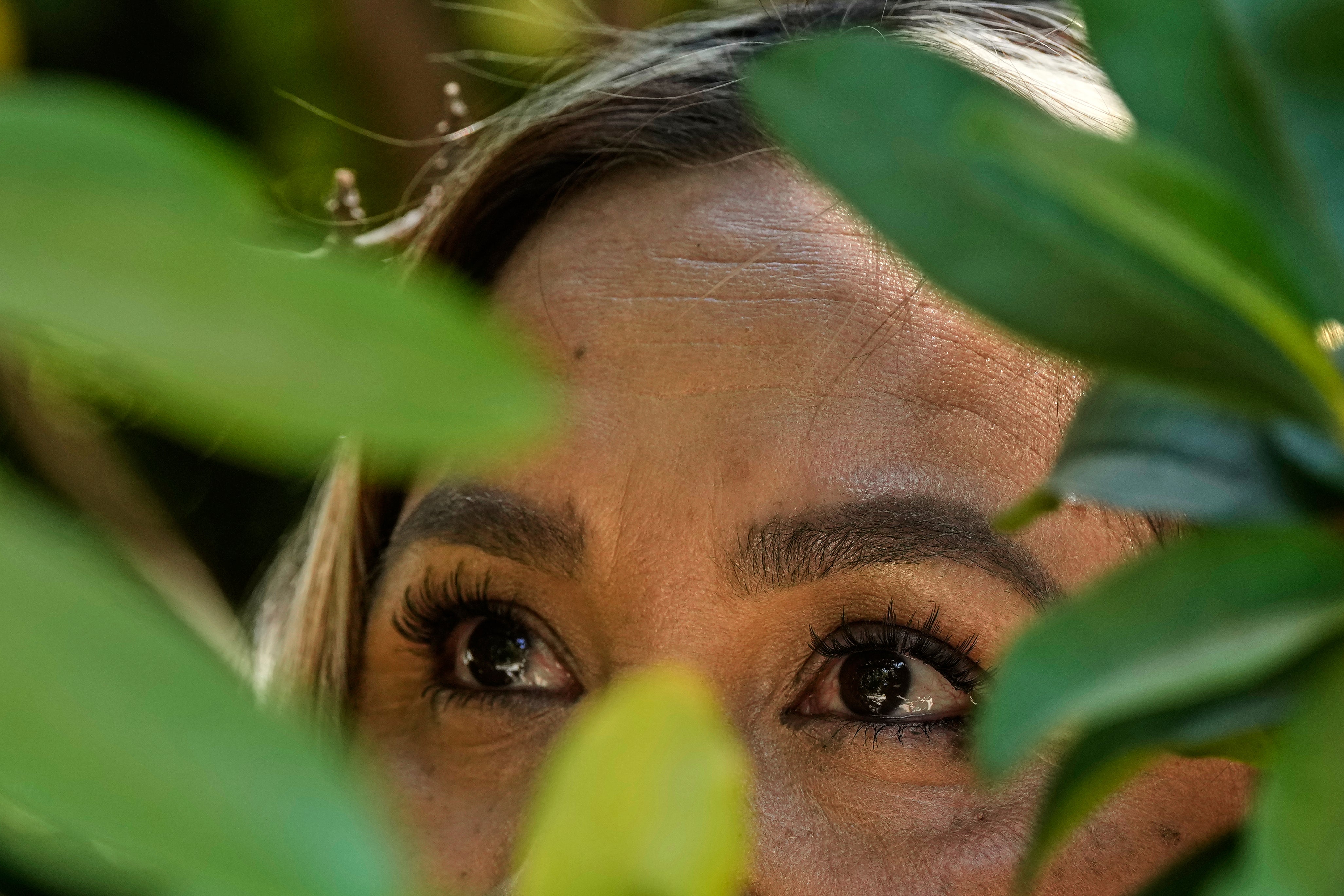 US Medicaid Immigration States