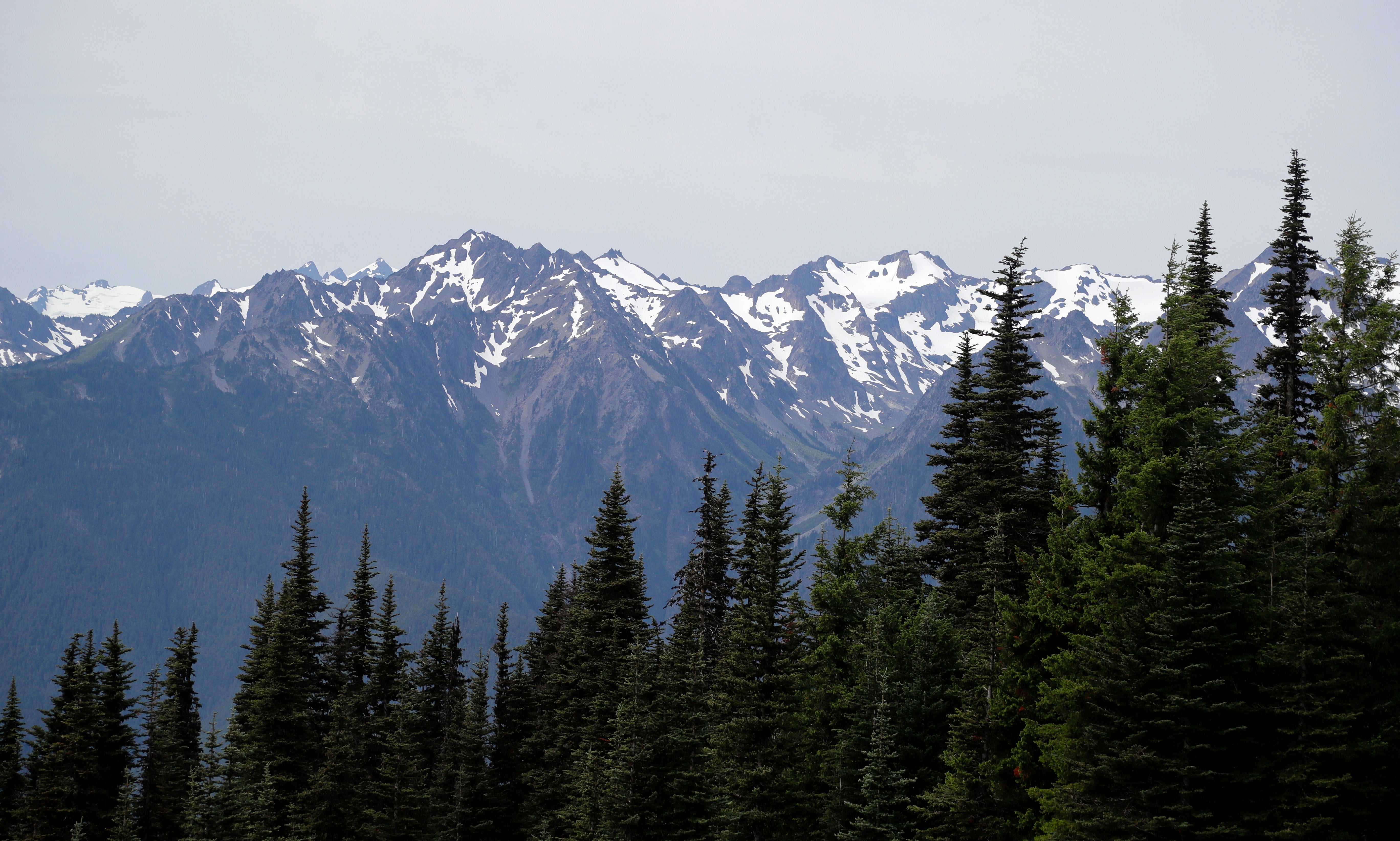 The Olympic Mountains are seen beyond a forest from Hurricane Ridge in the Olympic National Park, near Port Angeles, Wash, July 9, 2019. (AP Photo/Elaine Thompso, File)
