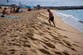 Spain fears for the future of Barcelona’s disappearing beaches