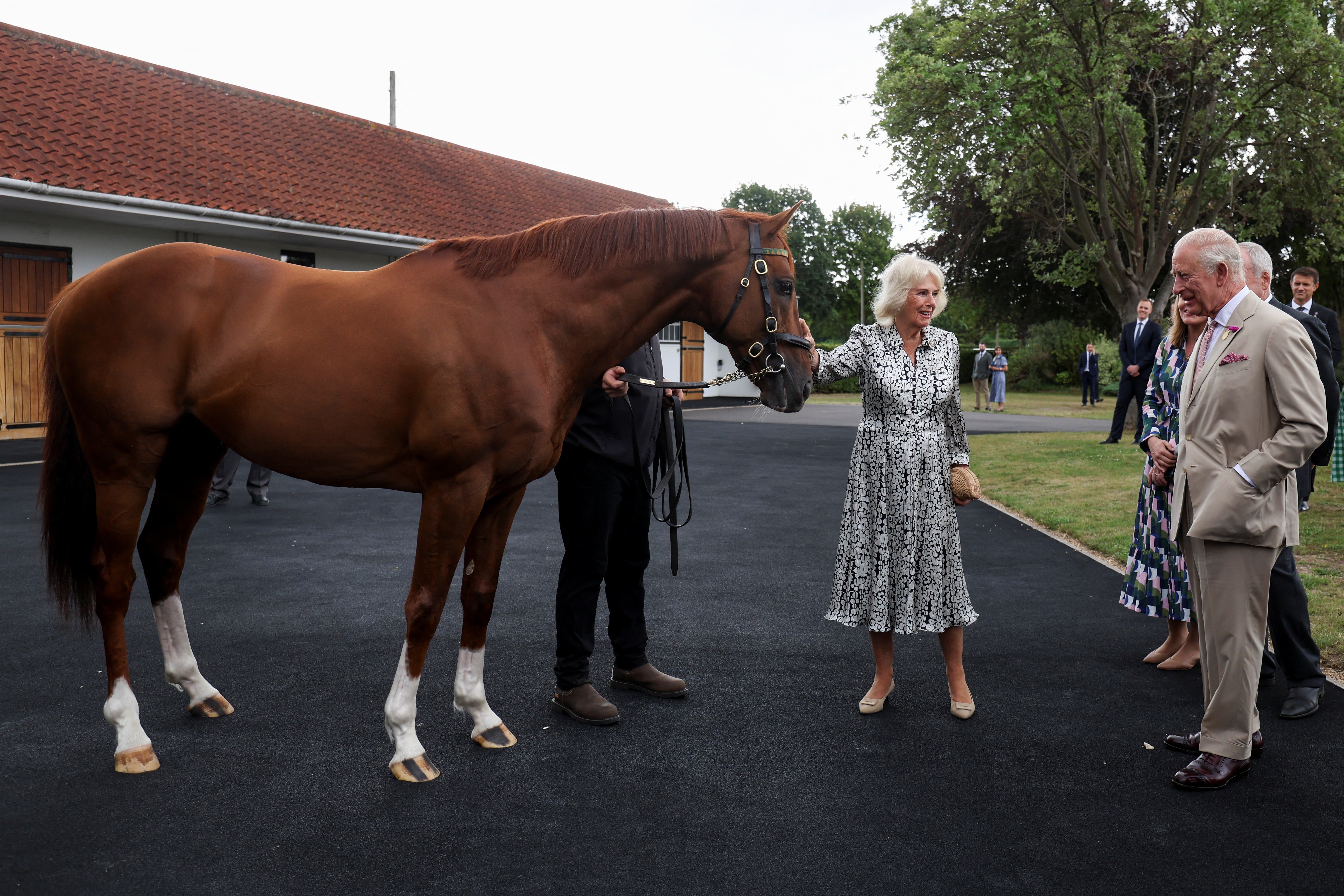 The King and Queen with racehorse Stradivarius during a visit to the National Stud in Newmarket, Suffolk (Chris Radburn/PA)