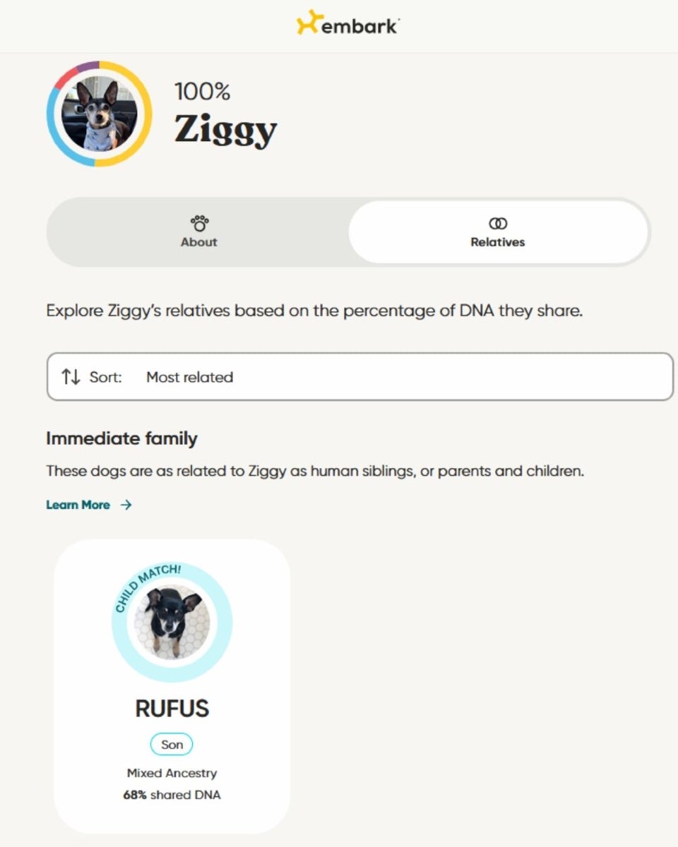 A DNA test revealed Ziggy is the feather of Rufus.