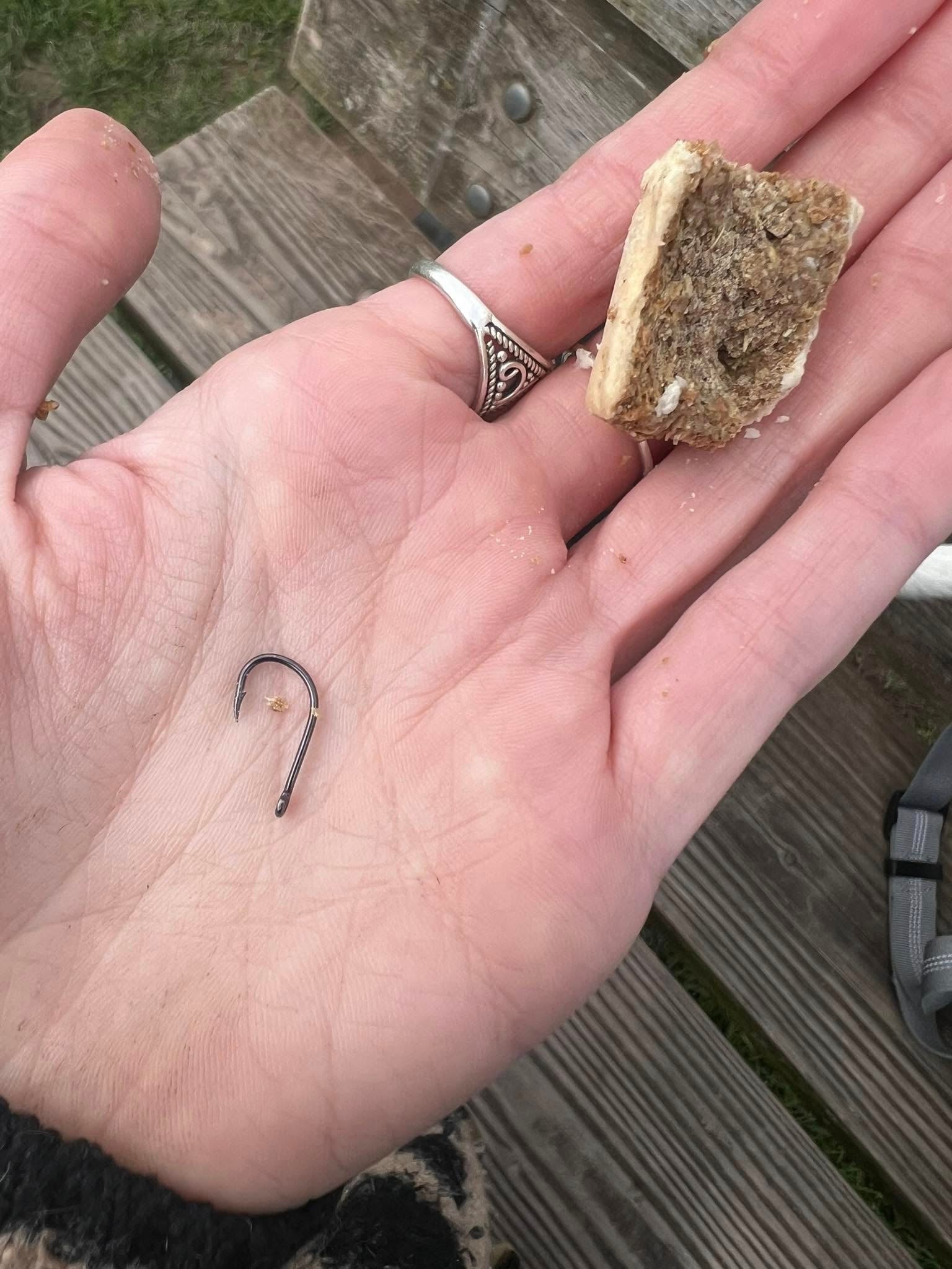 Charley Meats posted on Abergavenny Voice Facebook Page images of the treats stuffed with fishhooks