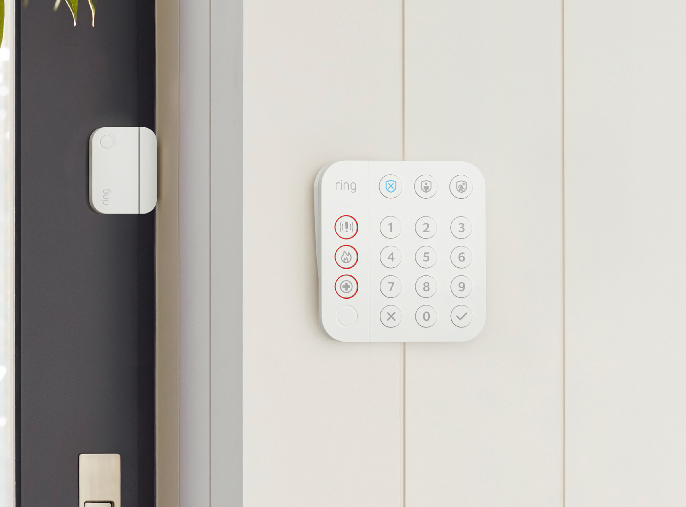 Ring offers a subscription for its home alarm system