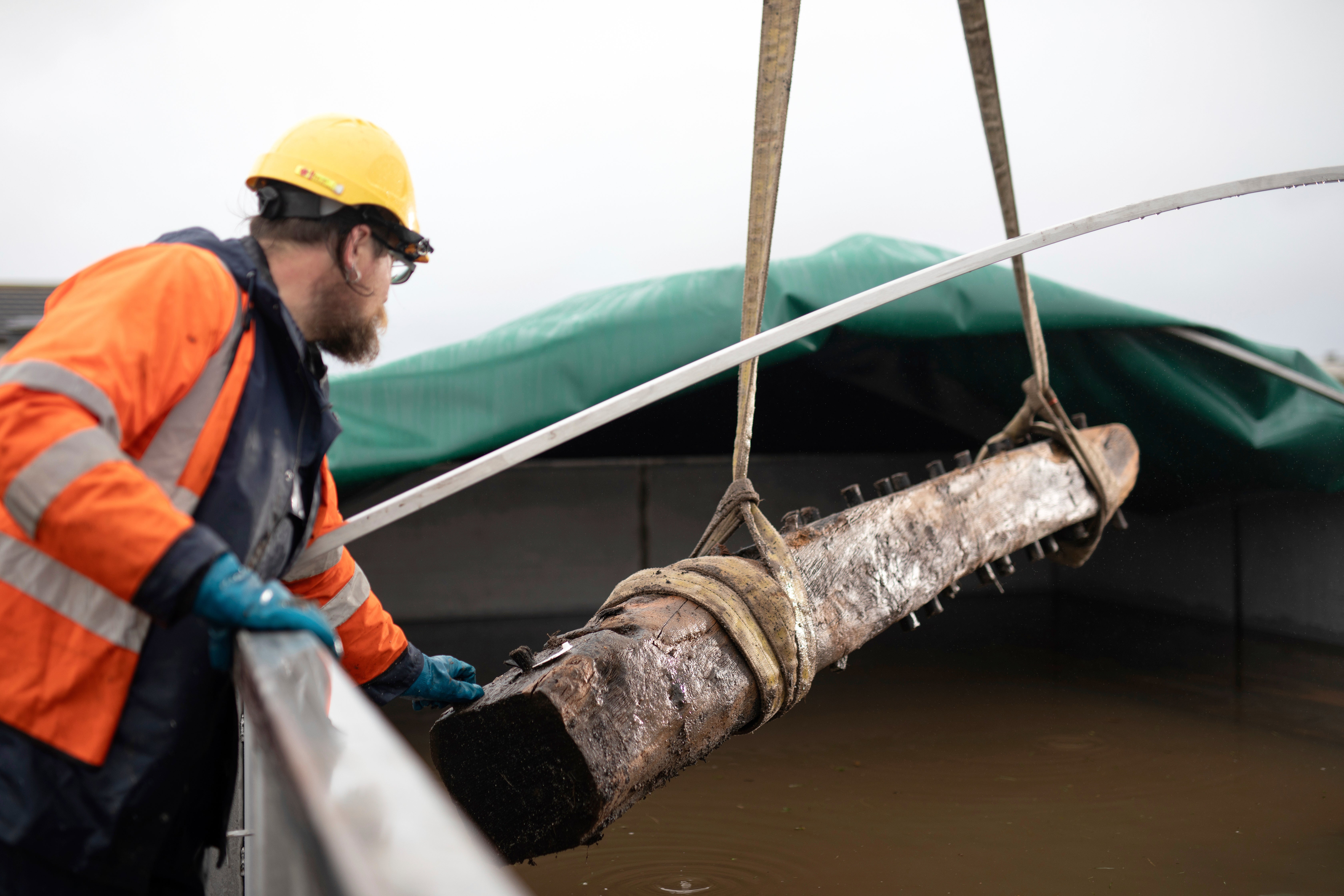 Ben Saunders from Wessex Archaeology supervises the Sanday Wreck timbers as they are placed in a freshwater tank