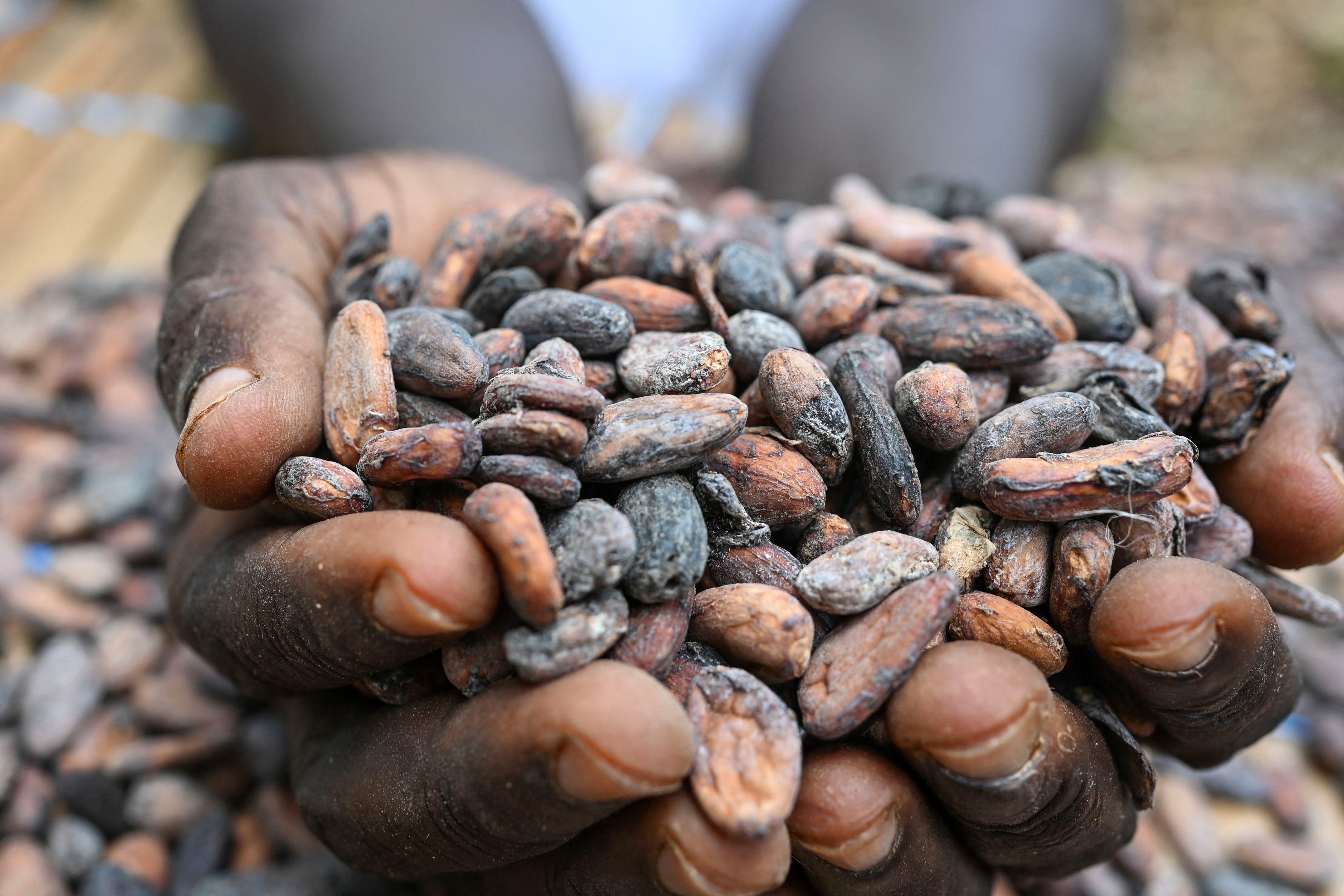 West Africa, which accounts for about 70 percent of the world’s cocoa supply, has been hit with poor weather, plant disease, aging tree stocks and destructive small-scale gold mining