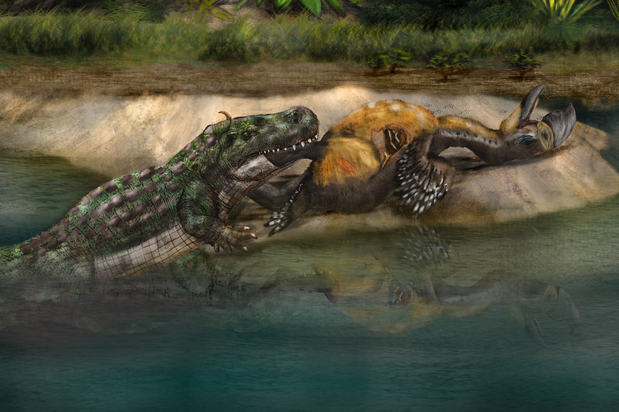 The bird may have already been dead when it was discovered by the caiman, researchers said