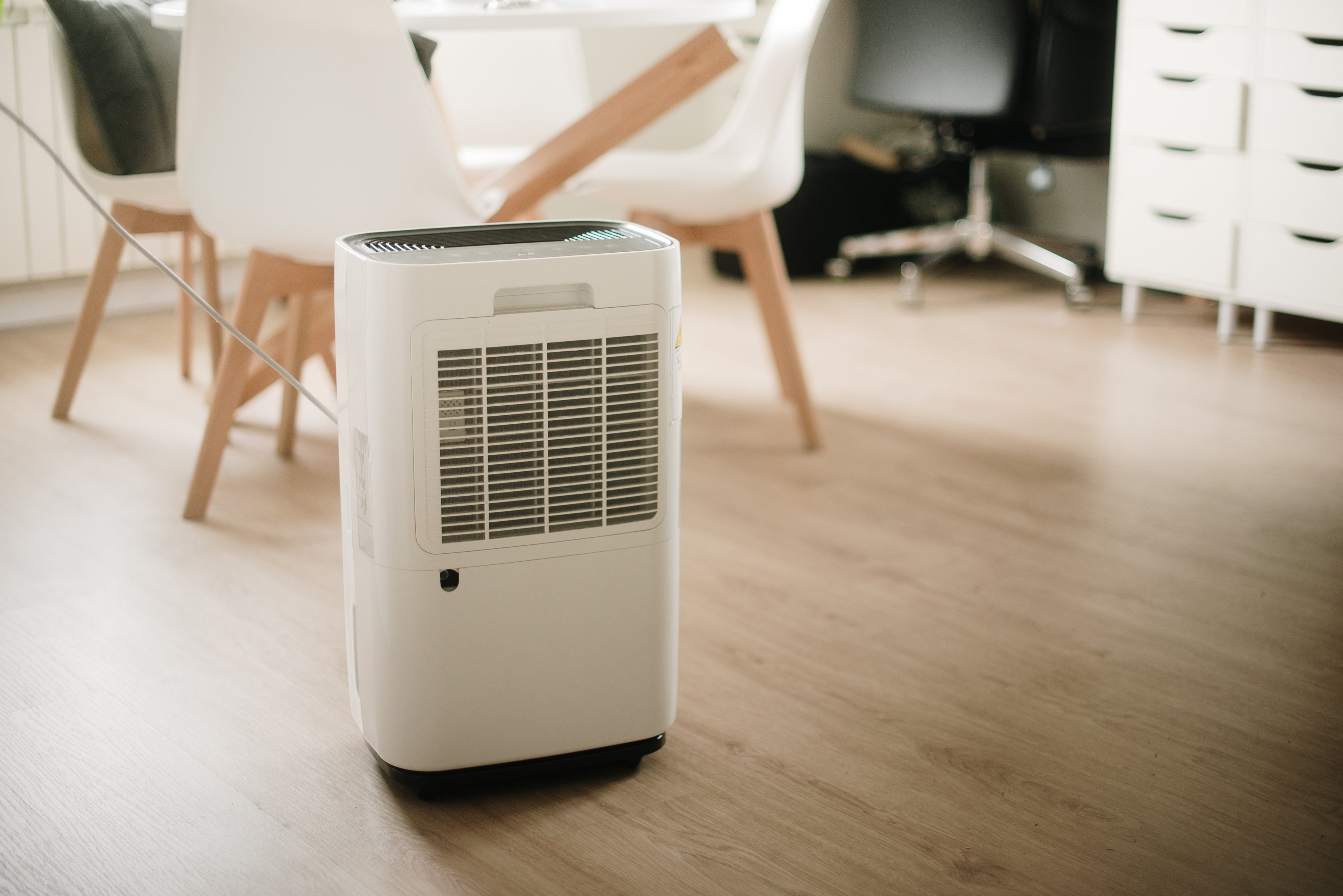 Experts reveal how dehumidifiers work in your home