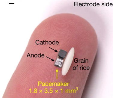 Image of dissolving pacemaker next to a grain of rice, published in the Journal Nature.
