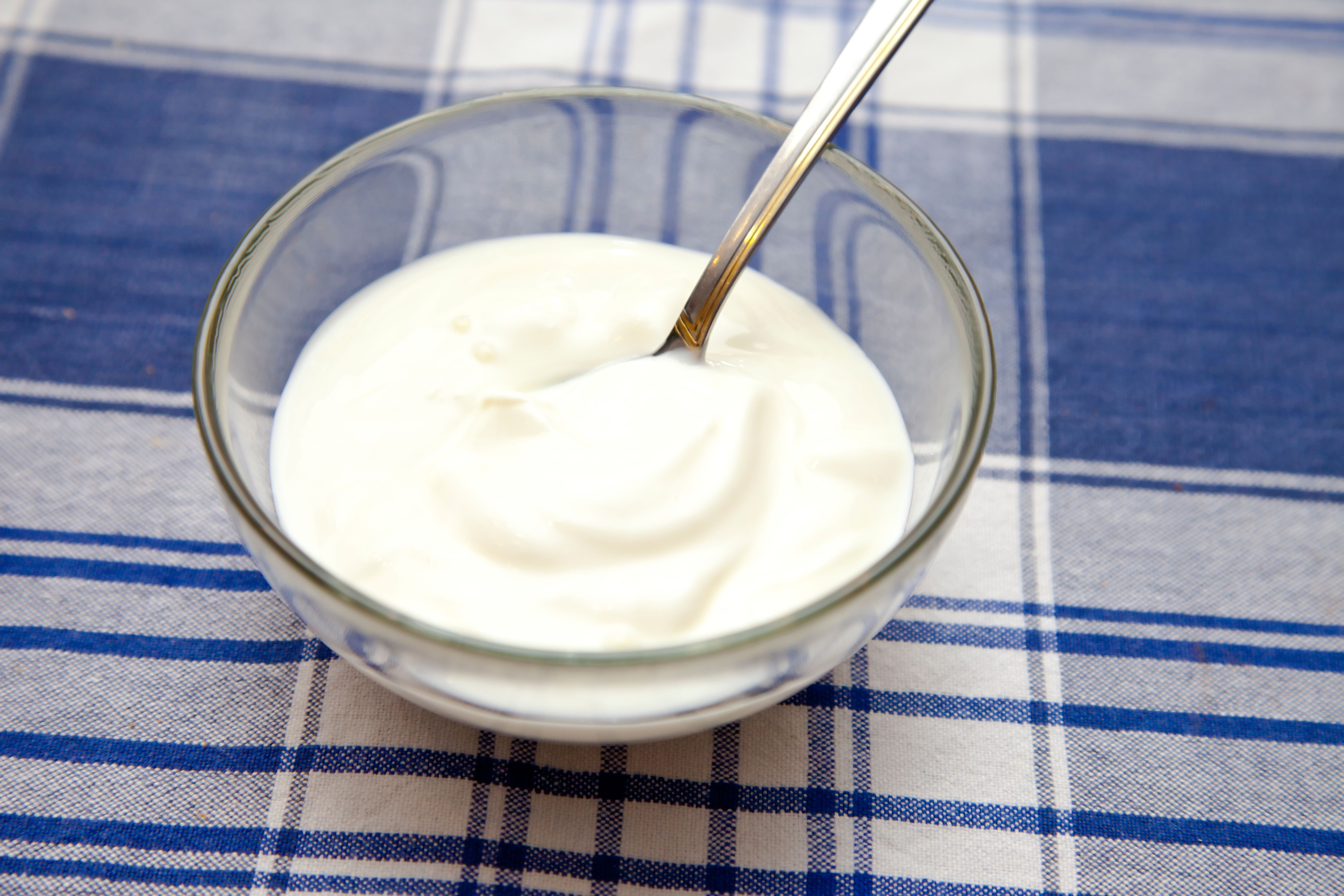 Jogurt zlepšuje kostní a svalovou strenght