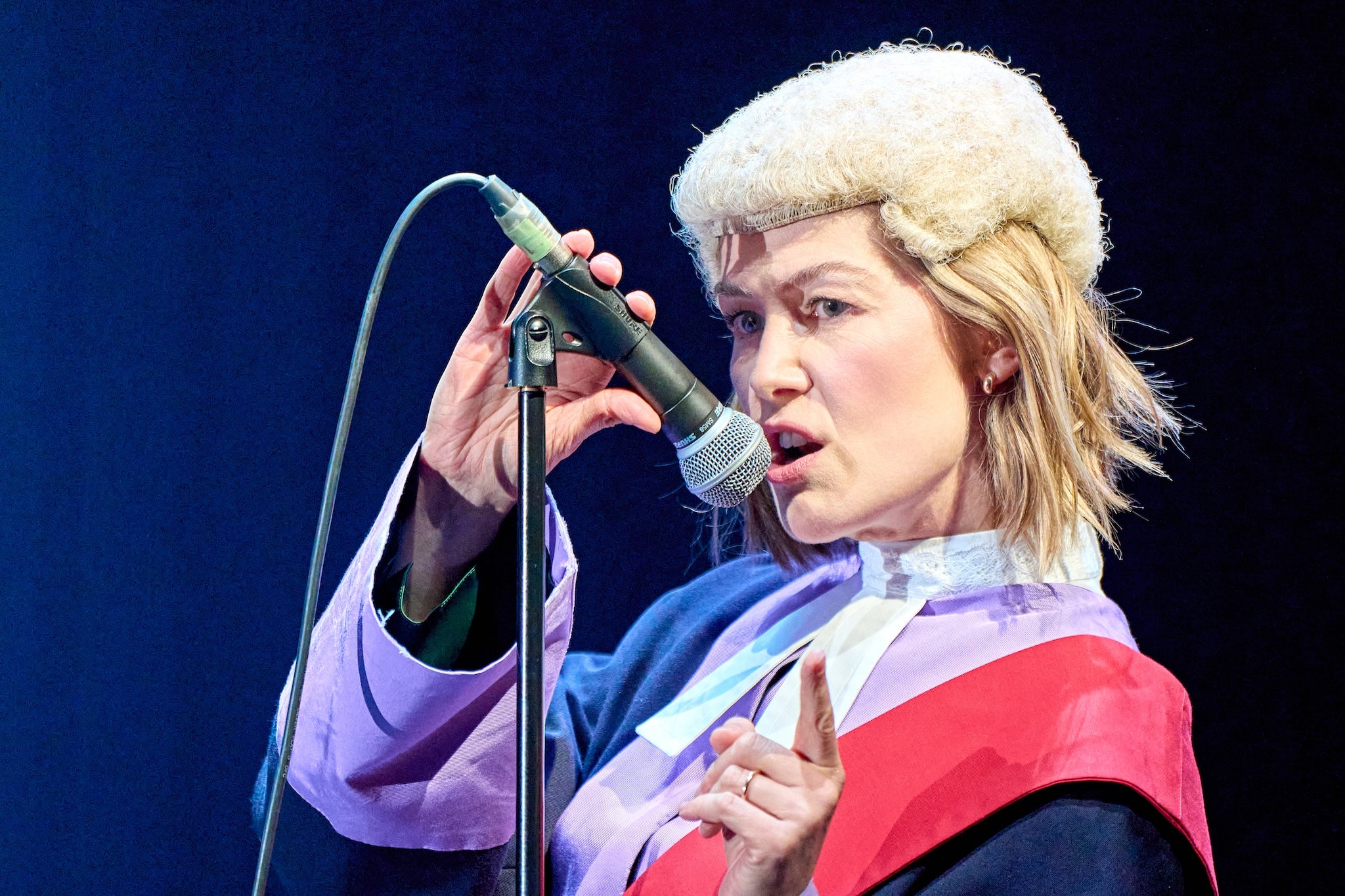 <p>Superstar judge: Rosamund Pike plays Jessica in ‘Inter Alia’</p>