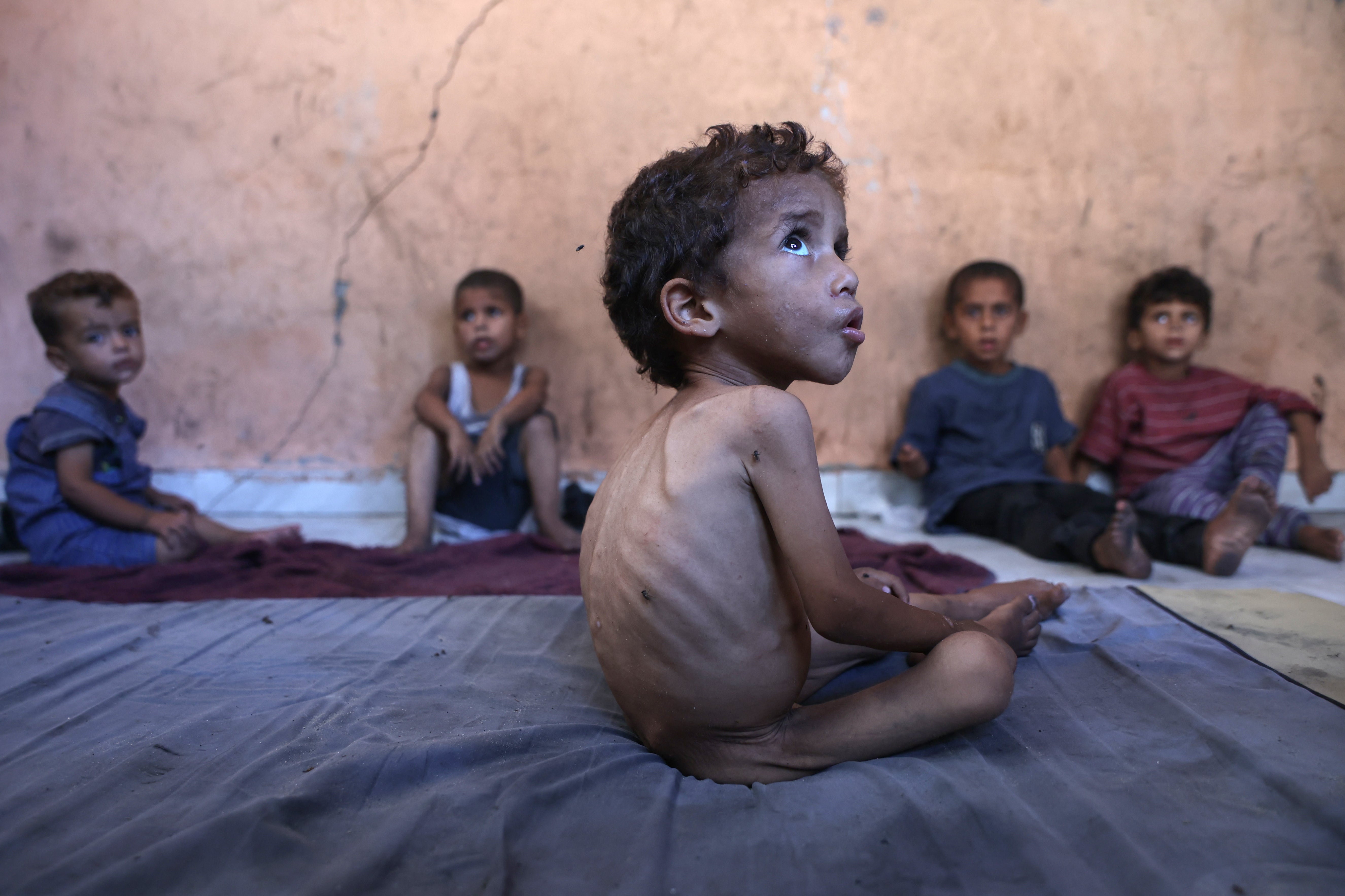 More than 100 aid organisations and human rights groups warned on Wednesday that ‘mass starvation’ is spreading in Gaza