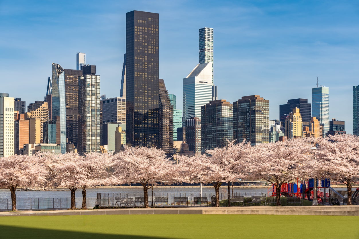 Hunter's Point South Park offers stunning views of the skyline