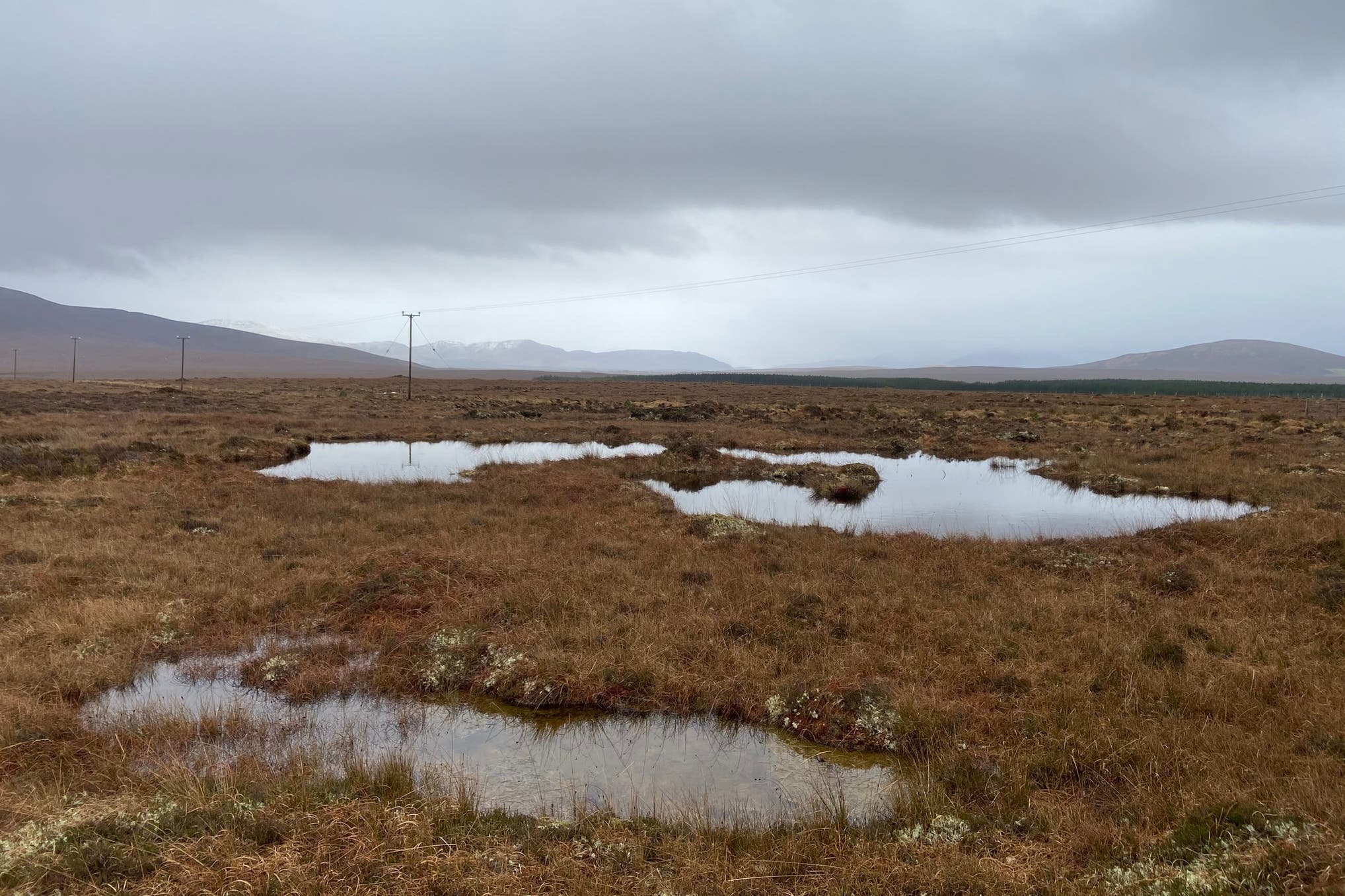 Warmer summers could boost the growth of European Peatlands, according to research (Richard Fewster/PA)