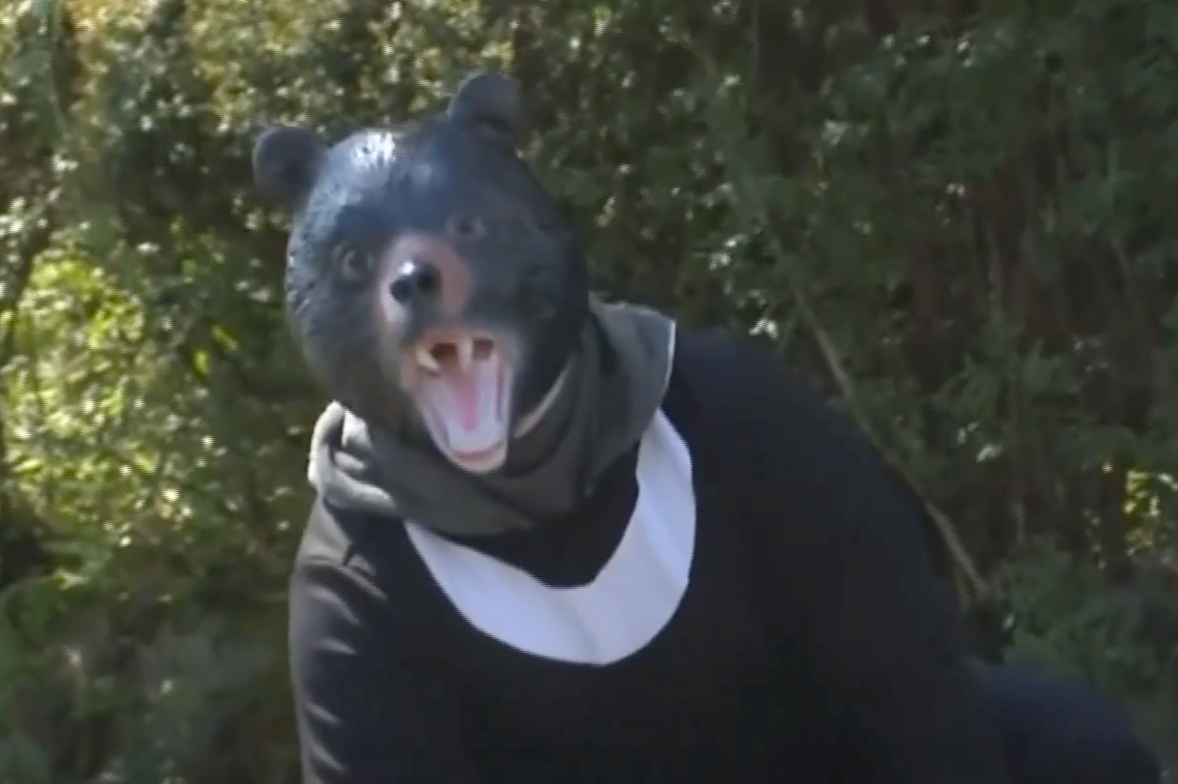 Bear drill takes place in Japan after postman mauled to death