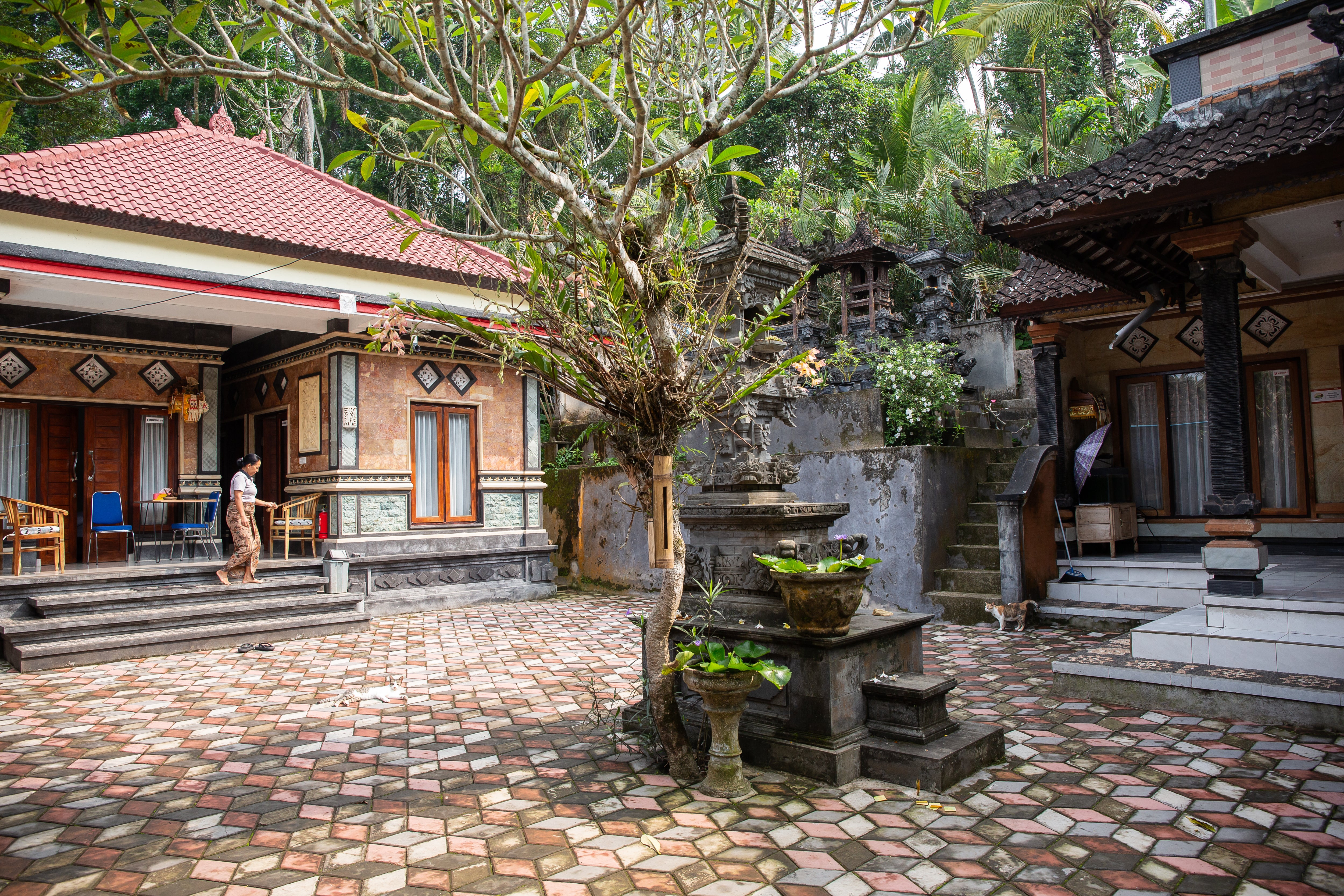 A homestay at Sibetan Village up in the mountains of east Bali