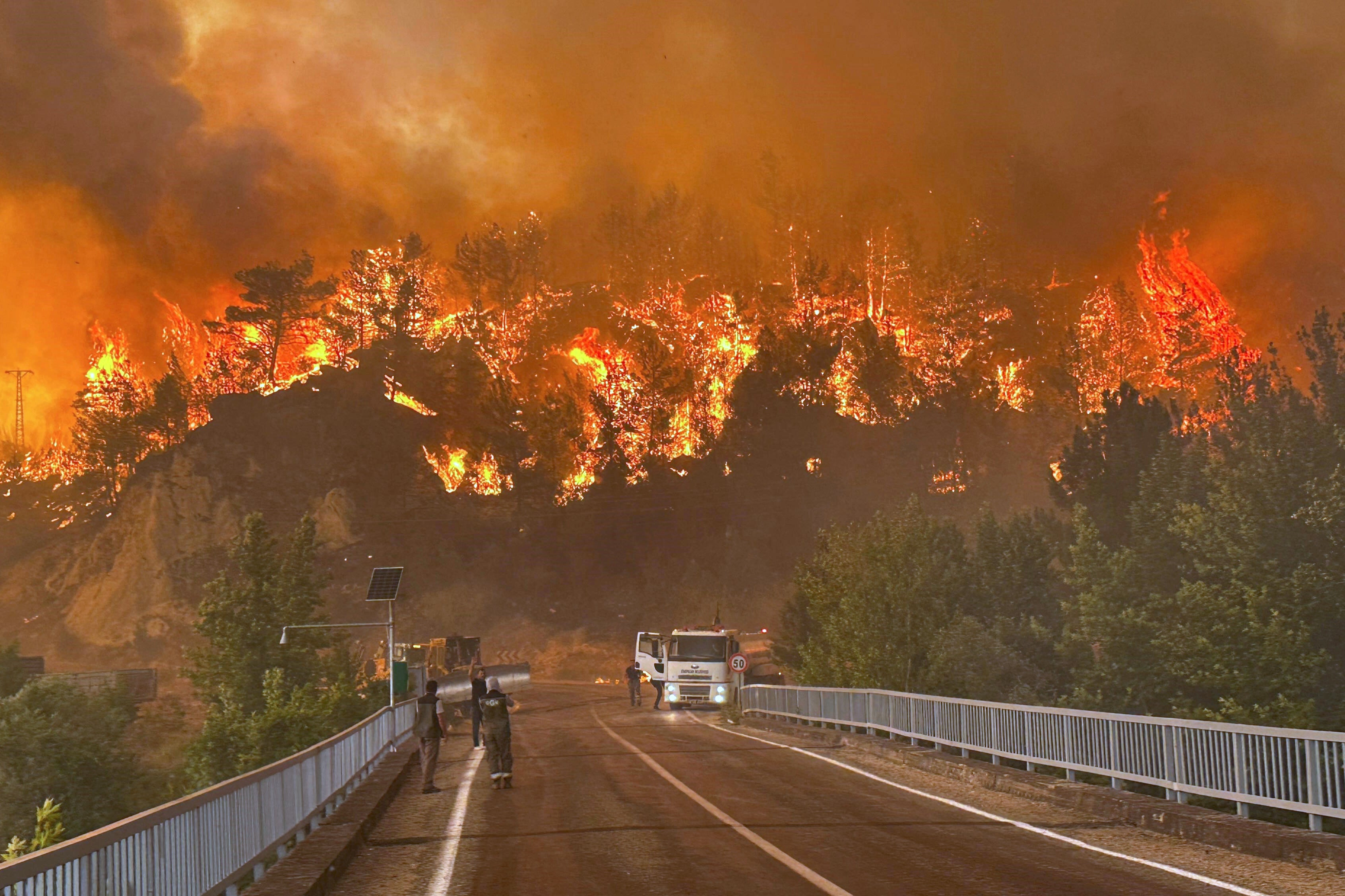A wildfire rages across a forested area near Cavuslar village, in Karabuk district, northwest Turkey, Wednesday, July 23, 2025