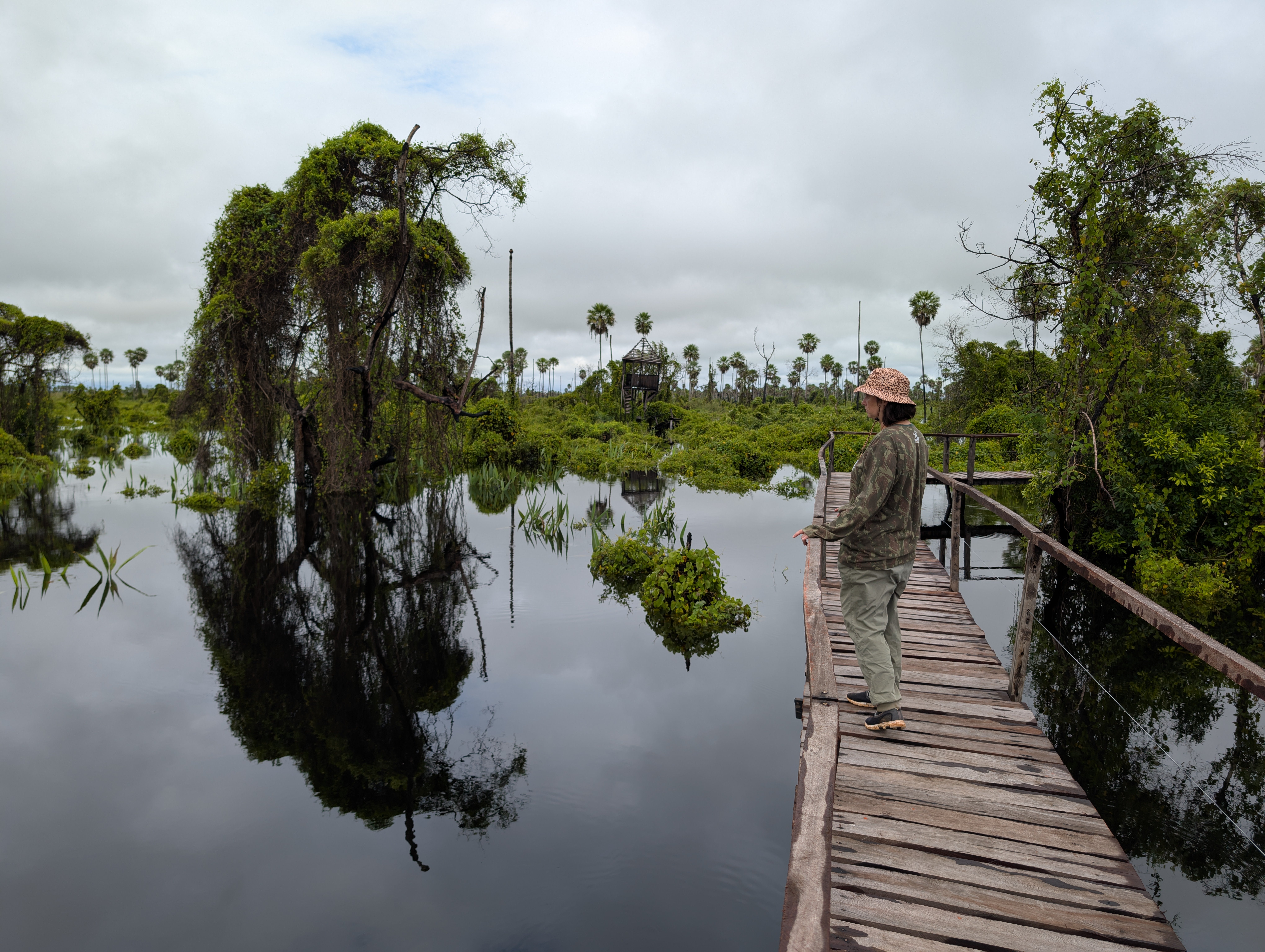 Guide, Roberta Coelho, takes writer, Steph Dyson, on a wildlife walk in the Pantanal