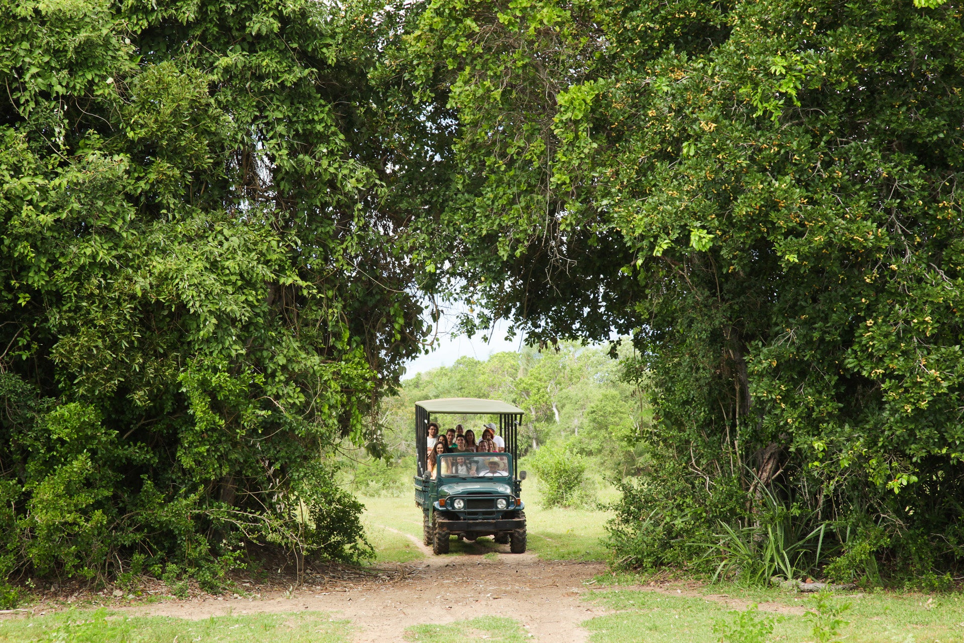 Jeep safaris in Brazil give visitors the chance to spot the country's own version of the Big Five