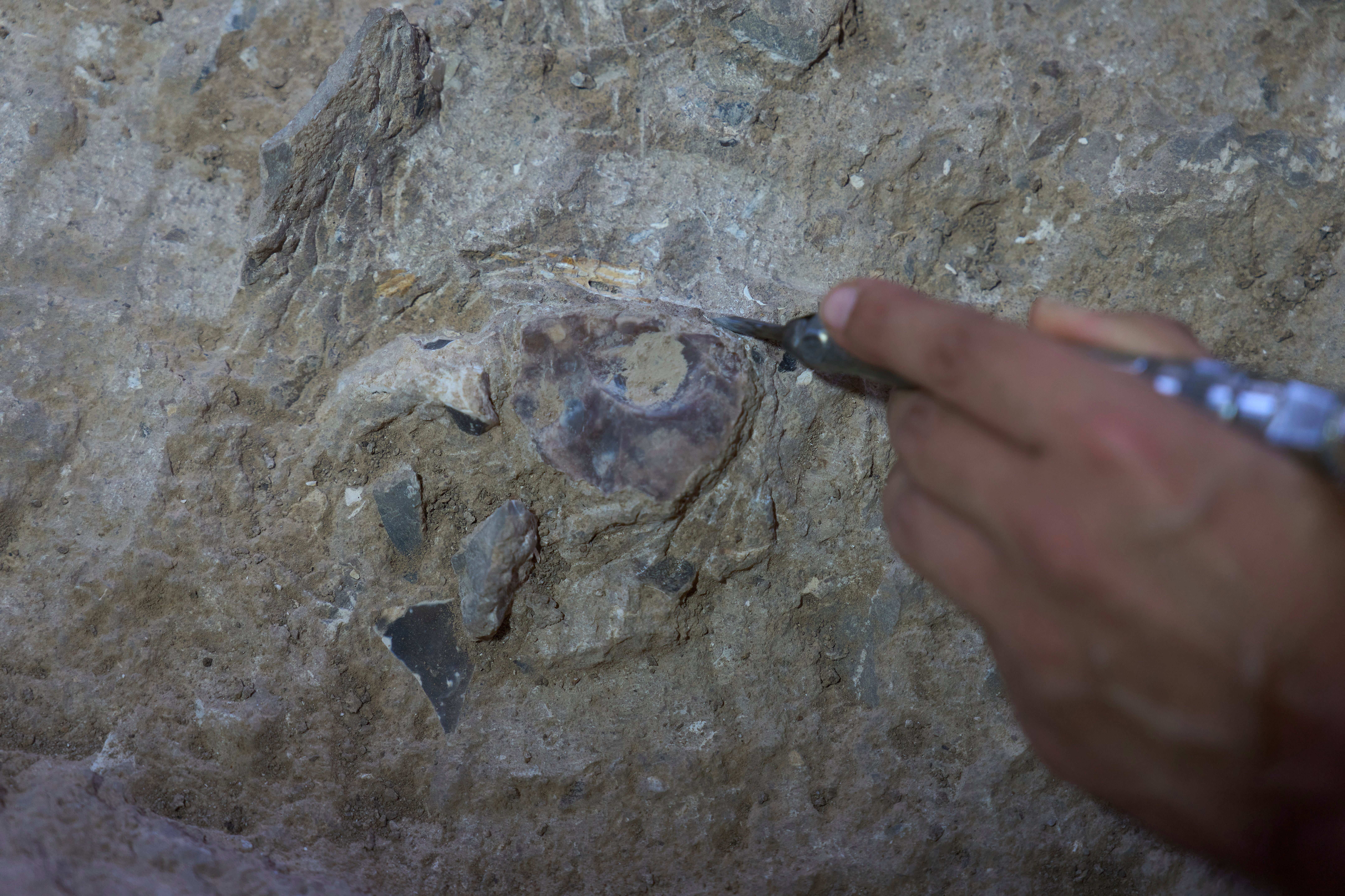 Volunteers work in the cave