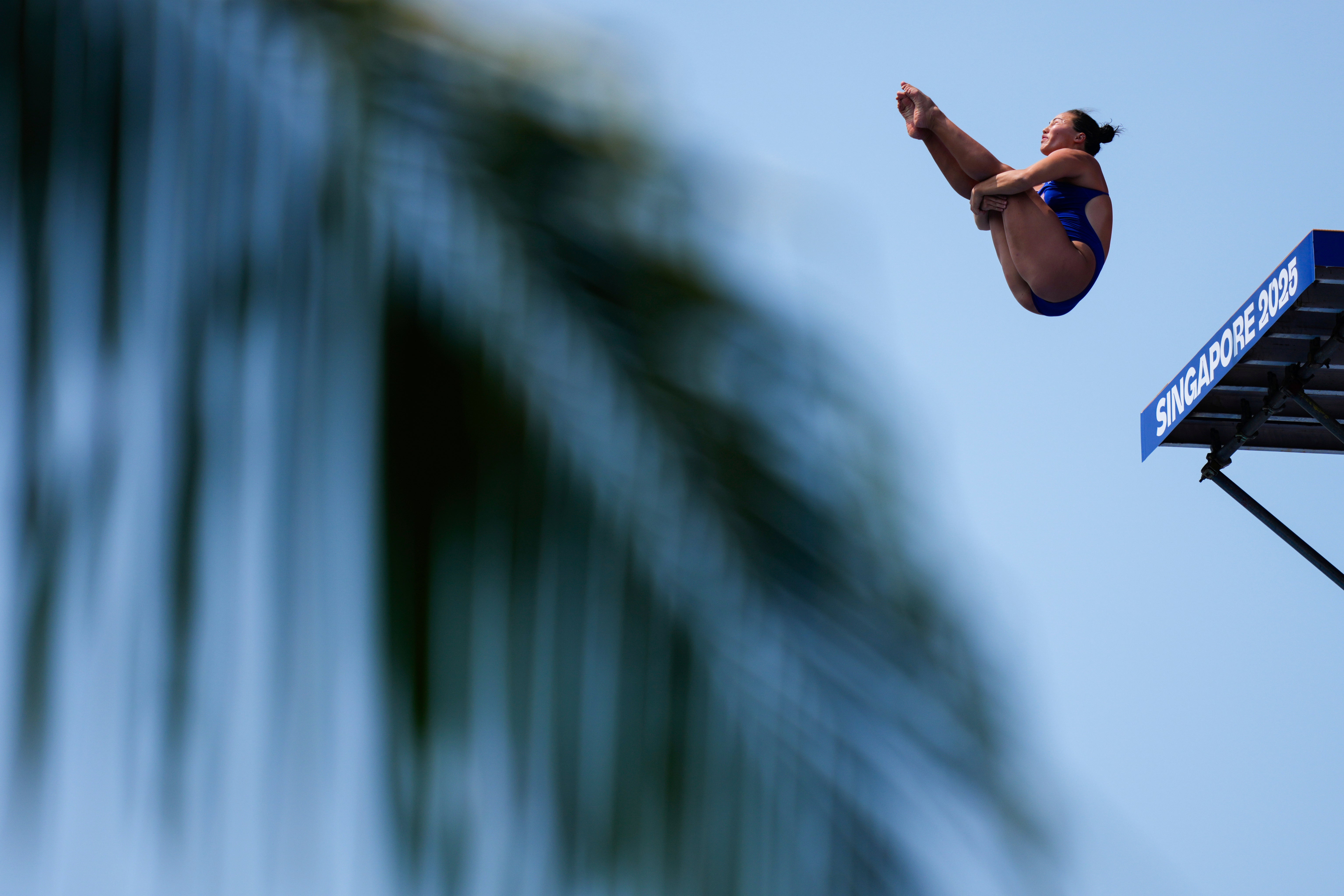 APTOPIX Singapore Swimming Worlds