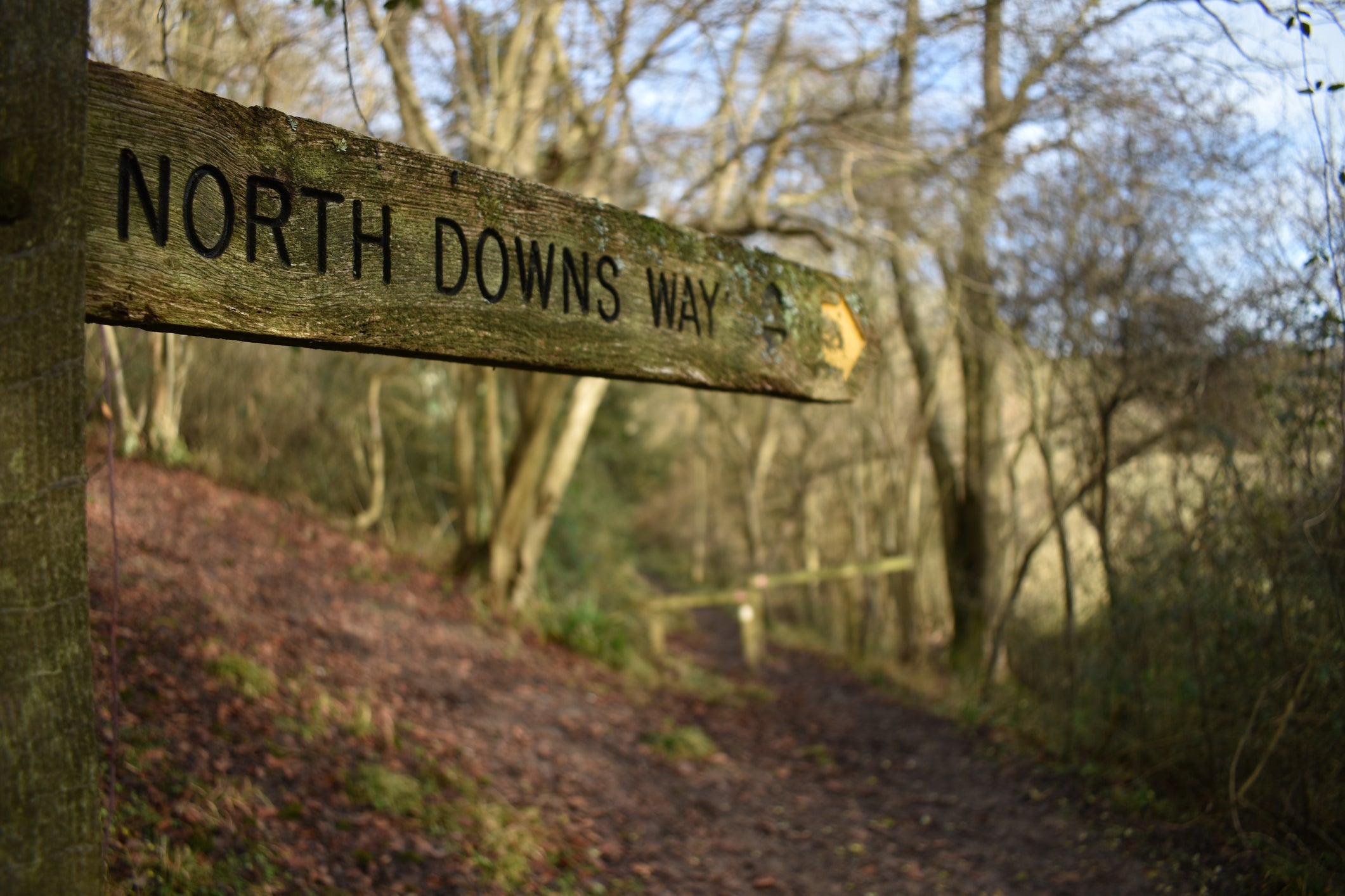 The Sunnyfield campsite is convenently located for walks along the North Downs Way