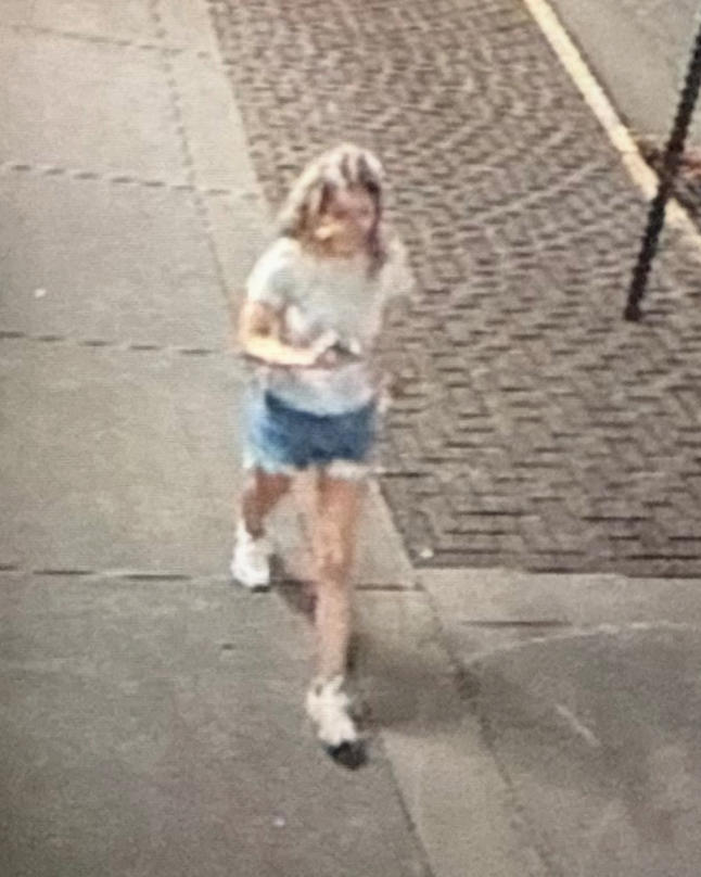 Heinz was last seen around 3.20 a.m. on July 20 walking home from a bar in Wisconsin, police say