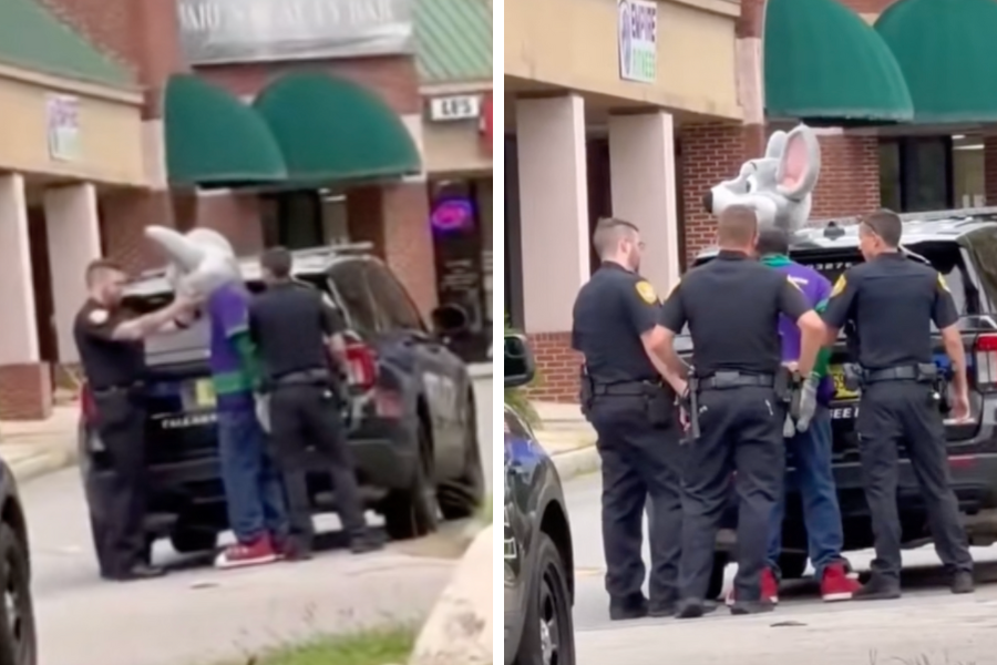 Jermel Jones, 41, of Tallahassee, was arrested while at his job, dressed as Chuck E. Cheese, for credit card fraud accusations.
