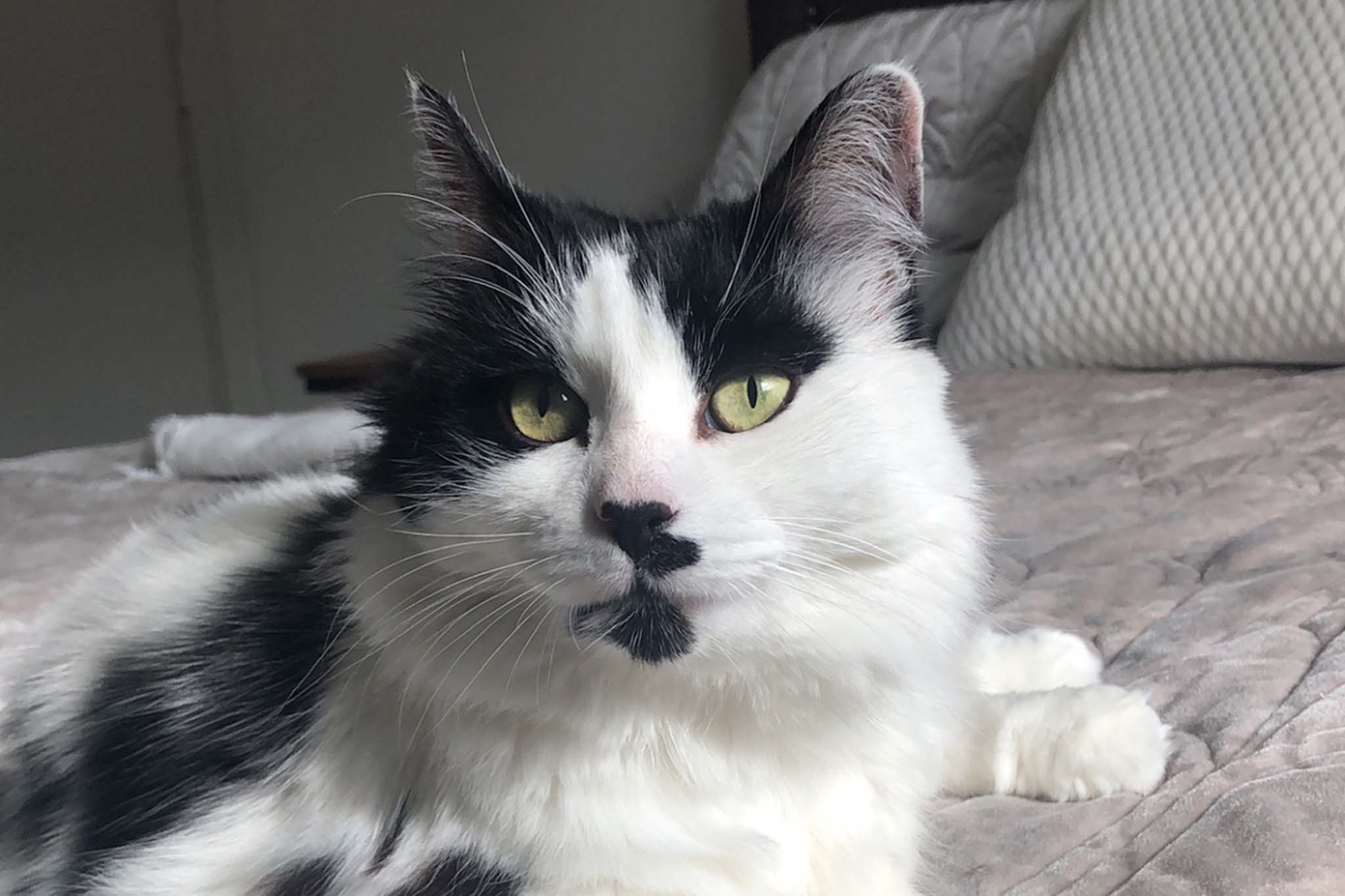 Liza is still residing with Senichkina, Zaydullina said