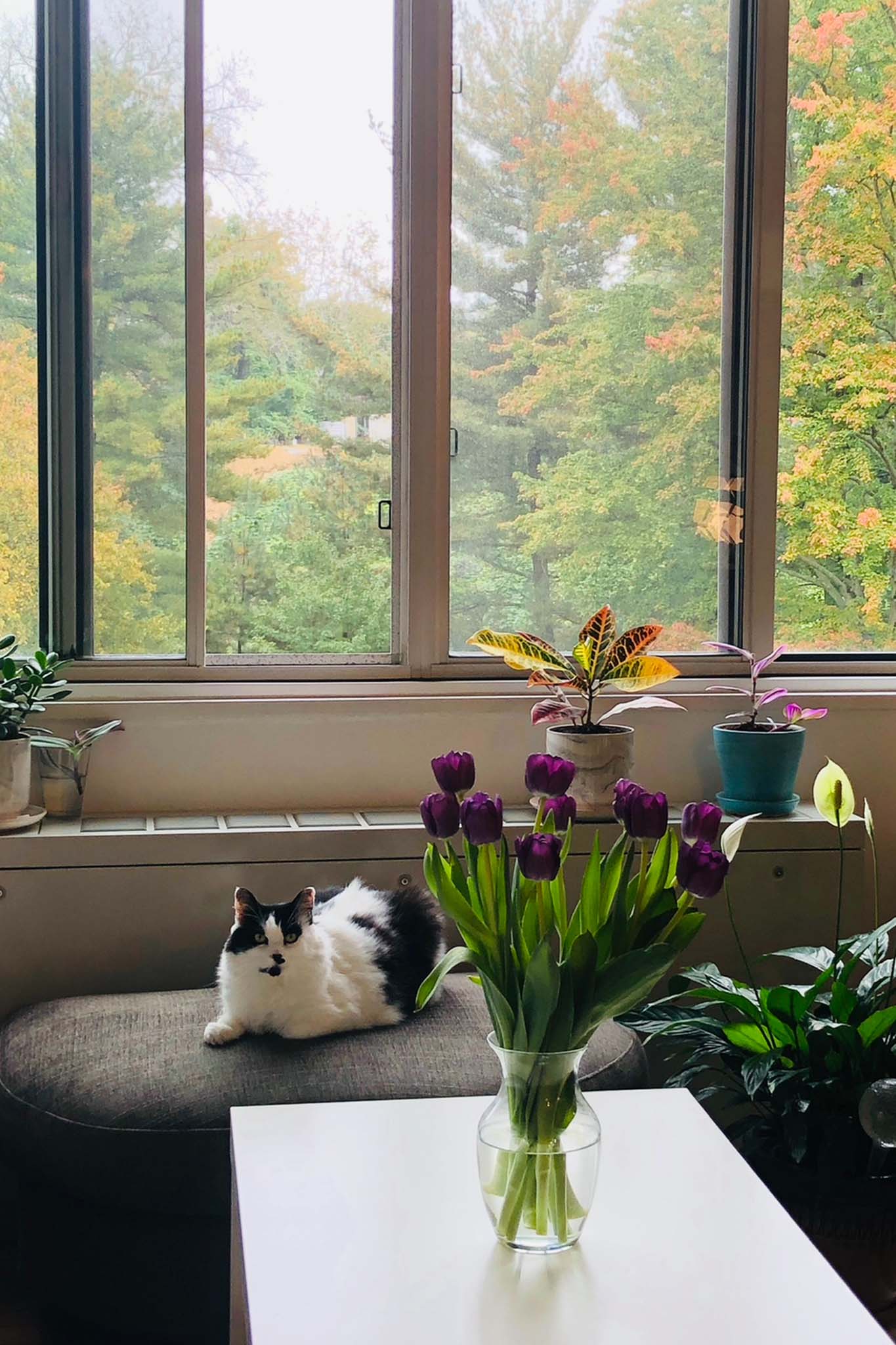 Zaydullina said she had attempted to contact Senichkina regarding a handover but hasn’t had a response since the court ruling