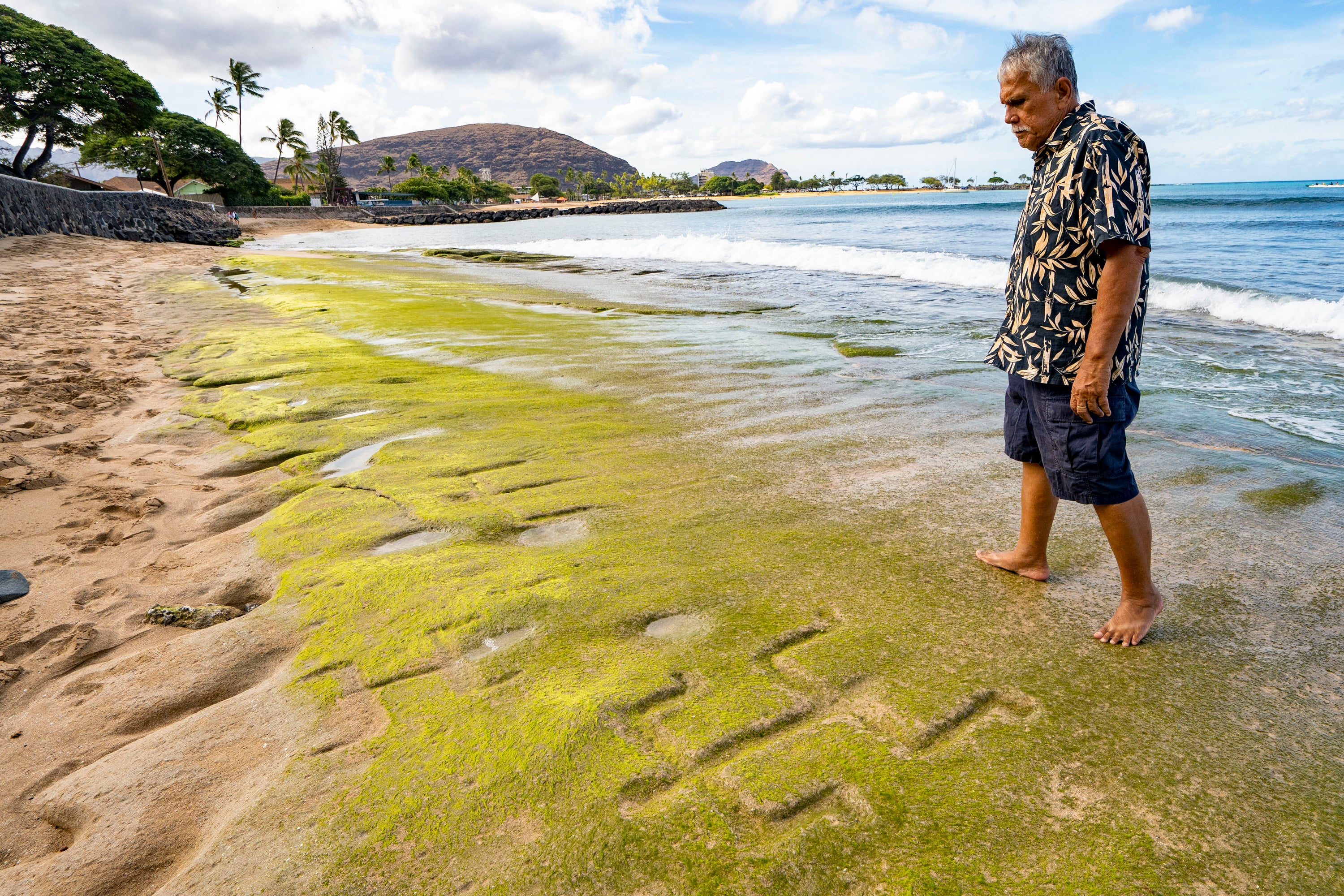 Cultural practitioner Glen Kila walks around the petroglyphs carved into the rock at Pokai Bay during low tide, July 22, 2025, in Waianae, Hawaii. (AP Photo/Mengshin Lin)