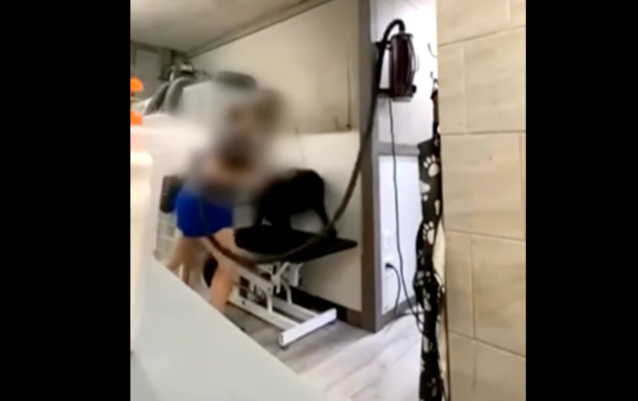 Footage revealed ‘troubling behavior involving at least four separate dogs’ who were being treated in a clearly aggressive and abusive manner, police say