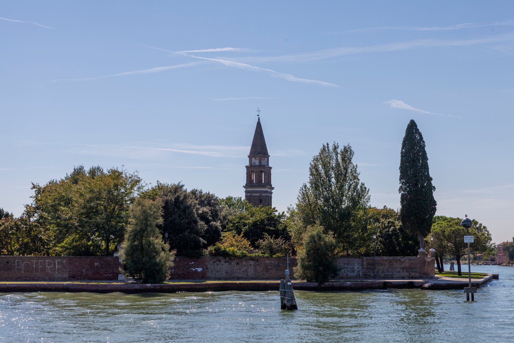 A bottlenose dolphin, nicknamed Mimmo, has been residing in the Venetian lagoon since June