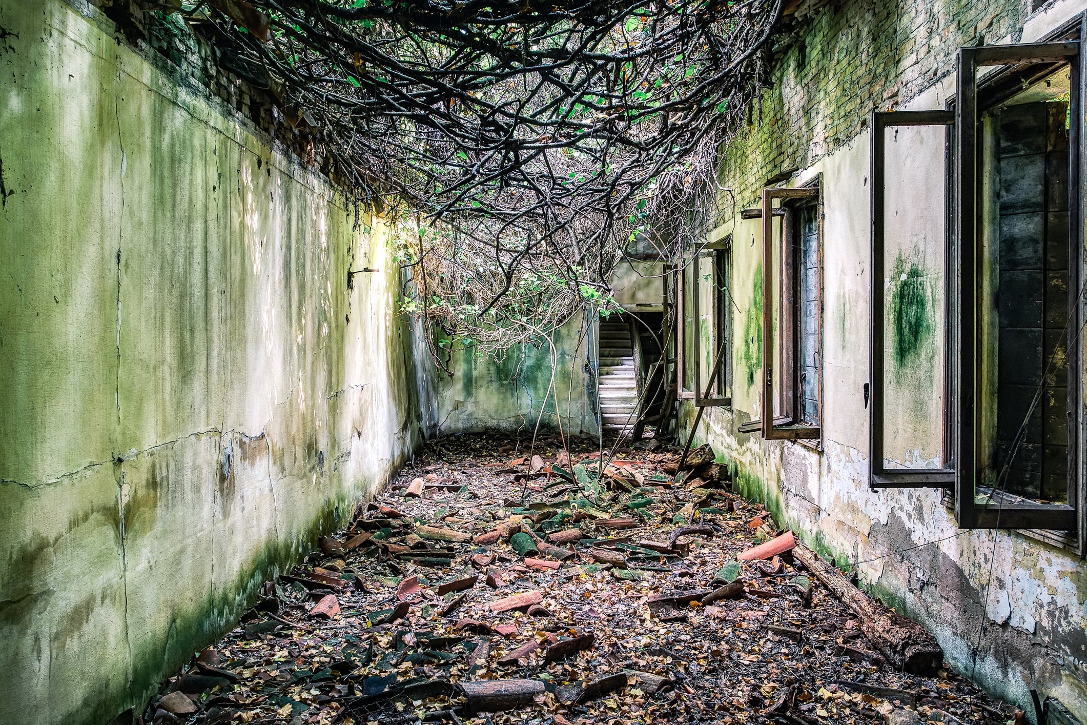 A ruined building lies crumbling on the abandoned and supposedly haunted Poveglia Island in Italy