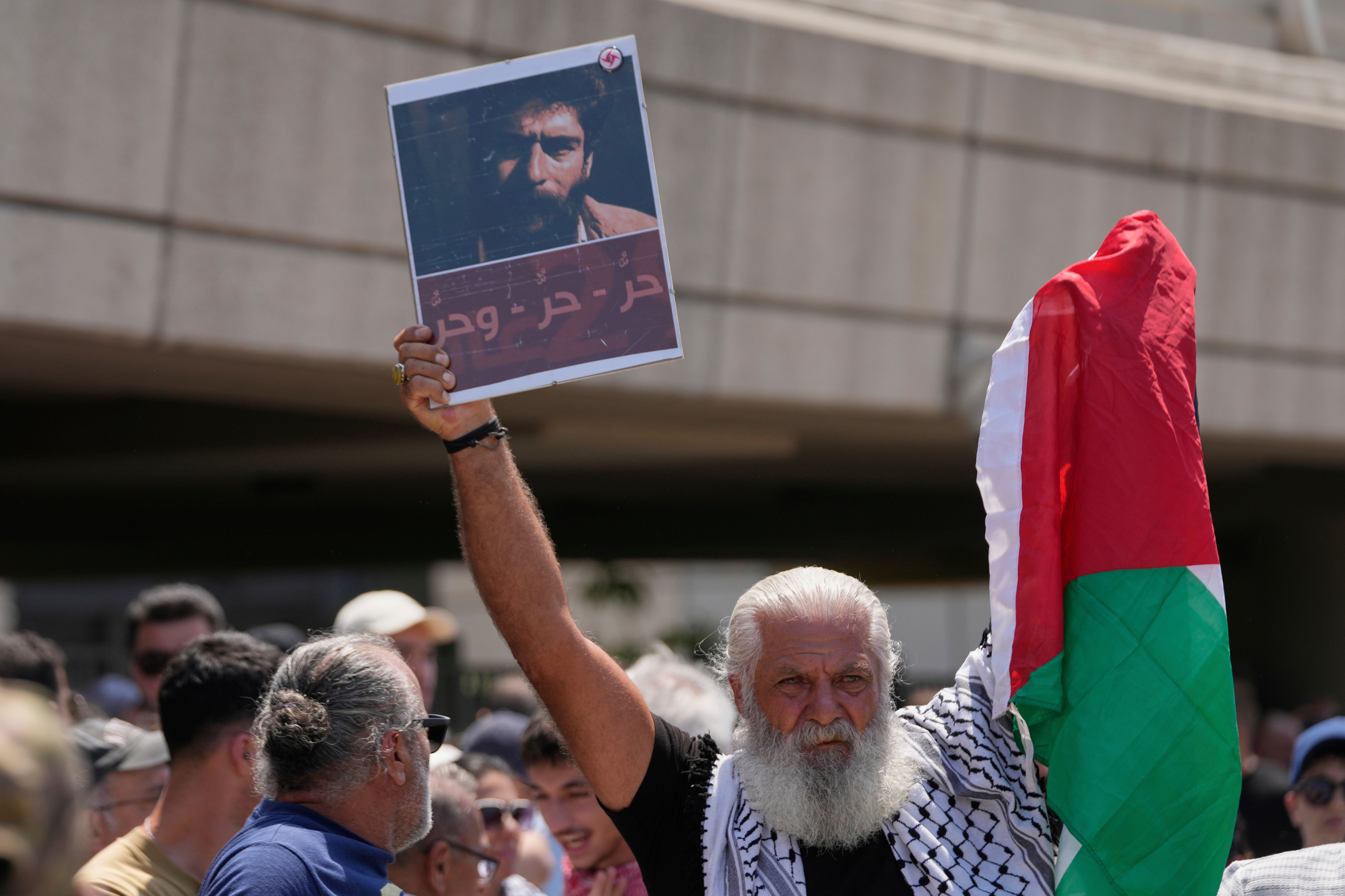 Lebanon France Militant Released