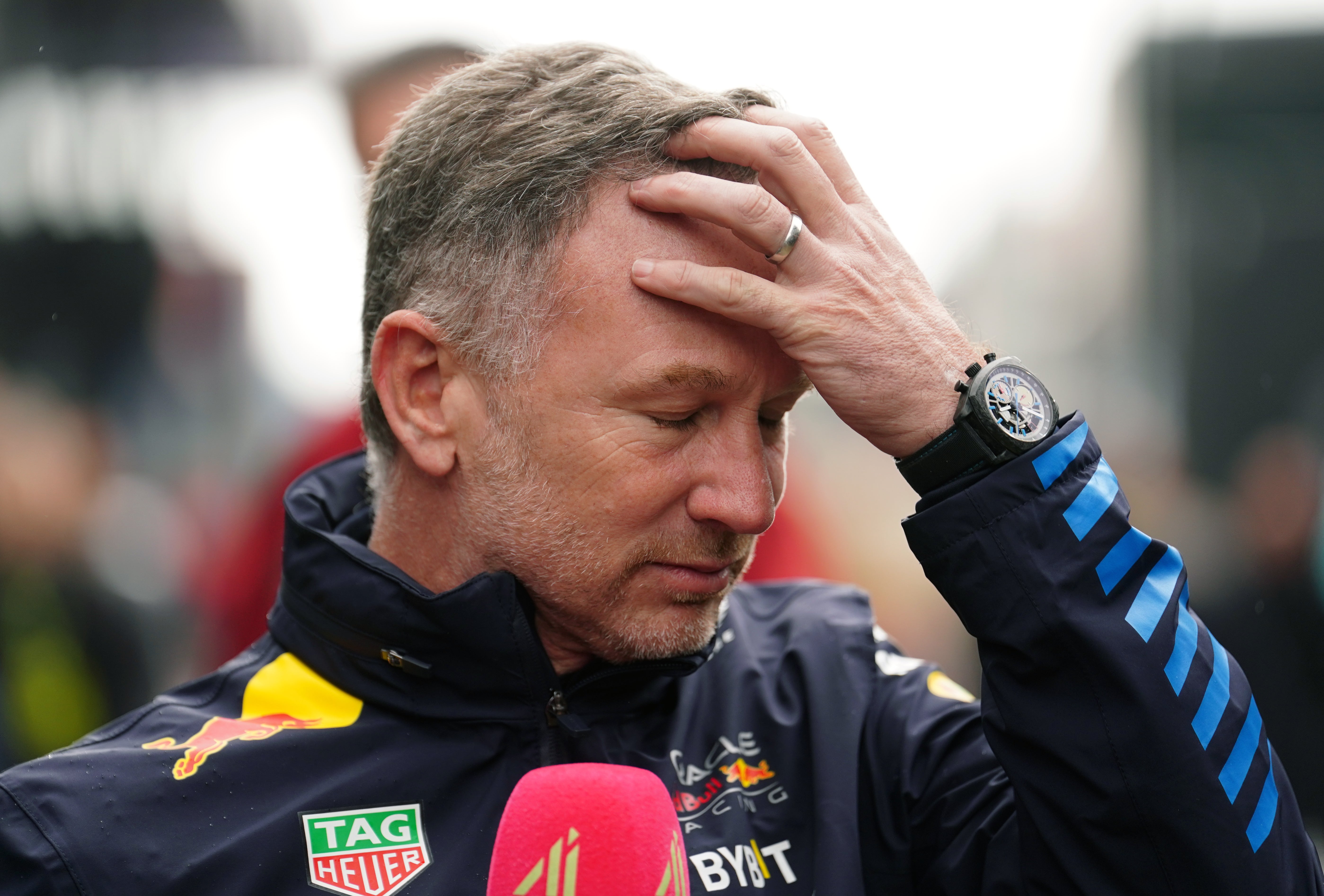 Christian Horner was removed as Red Bull team principal and CEO earlier this month