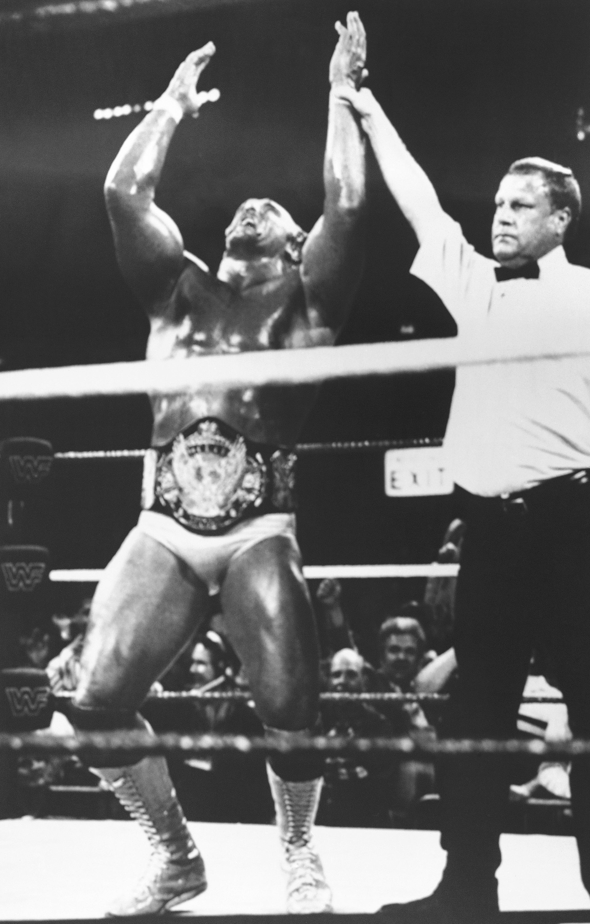 Hogan Greatest Wrestling Moments