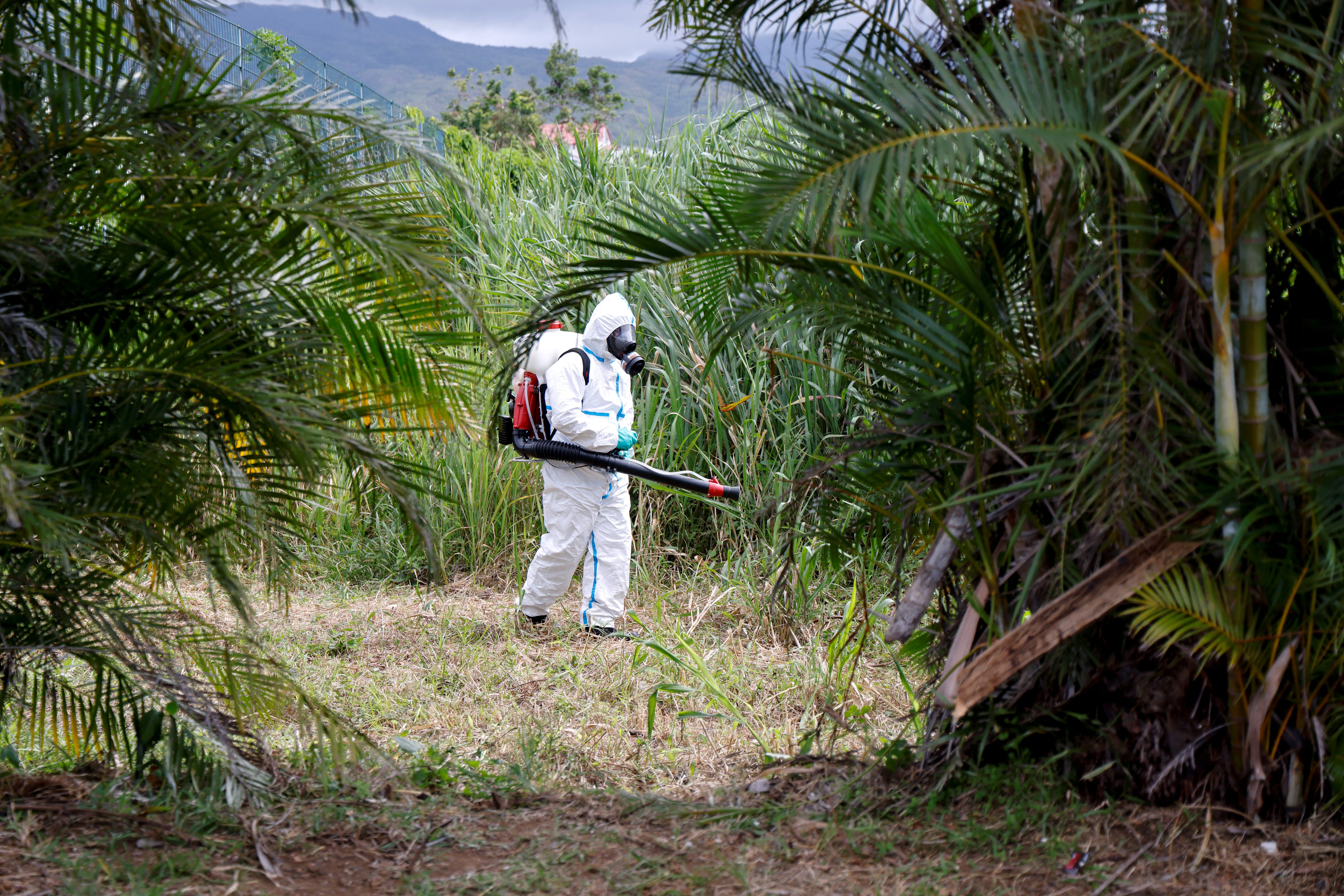 Virus chikungunya byl poprvé identifikován v roce 1952 během ohniska v Tanzanii