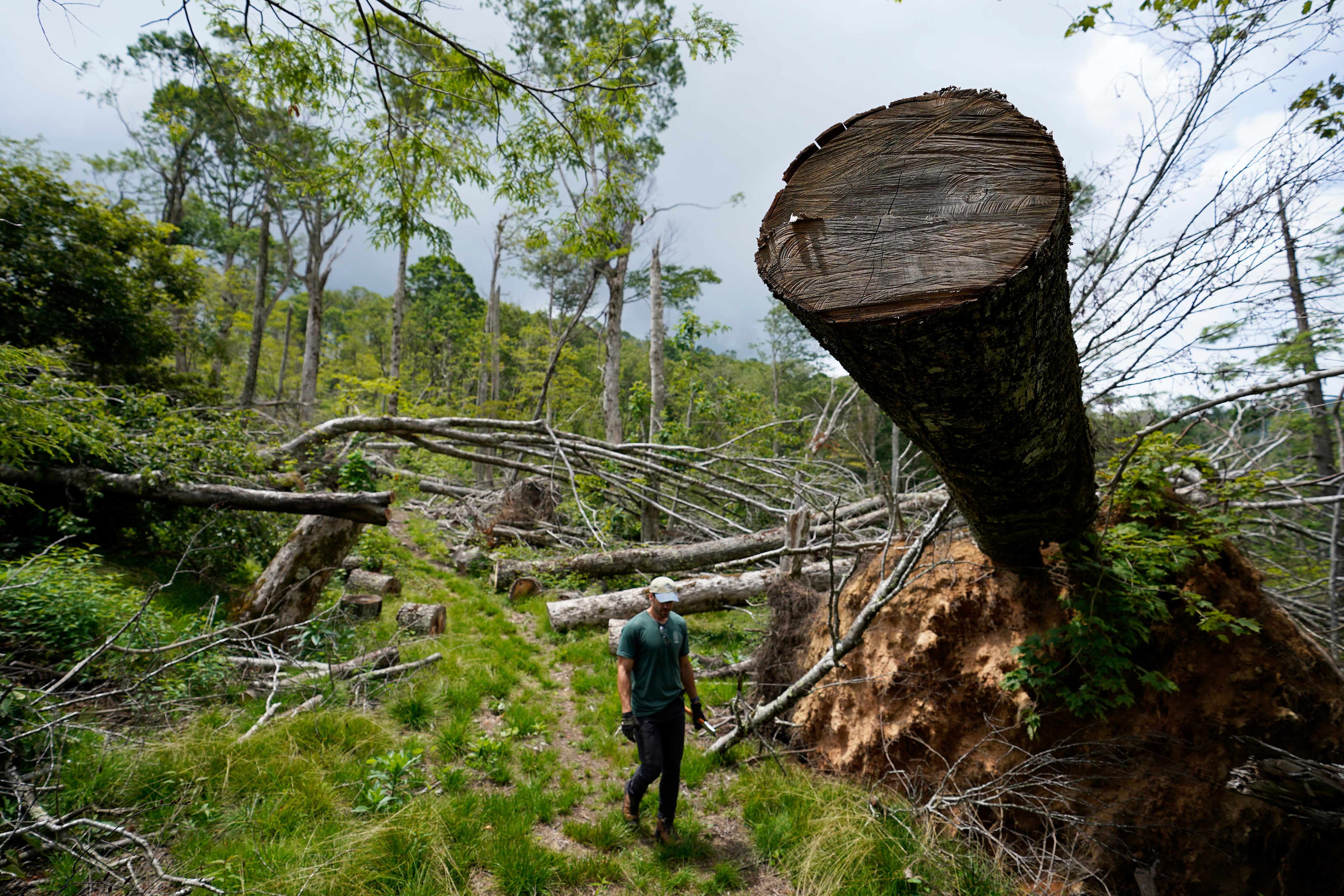 Hurricane Helene Appalachian Trail
