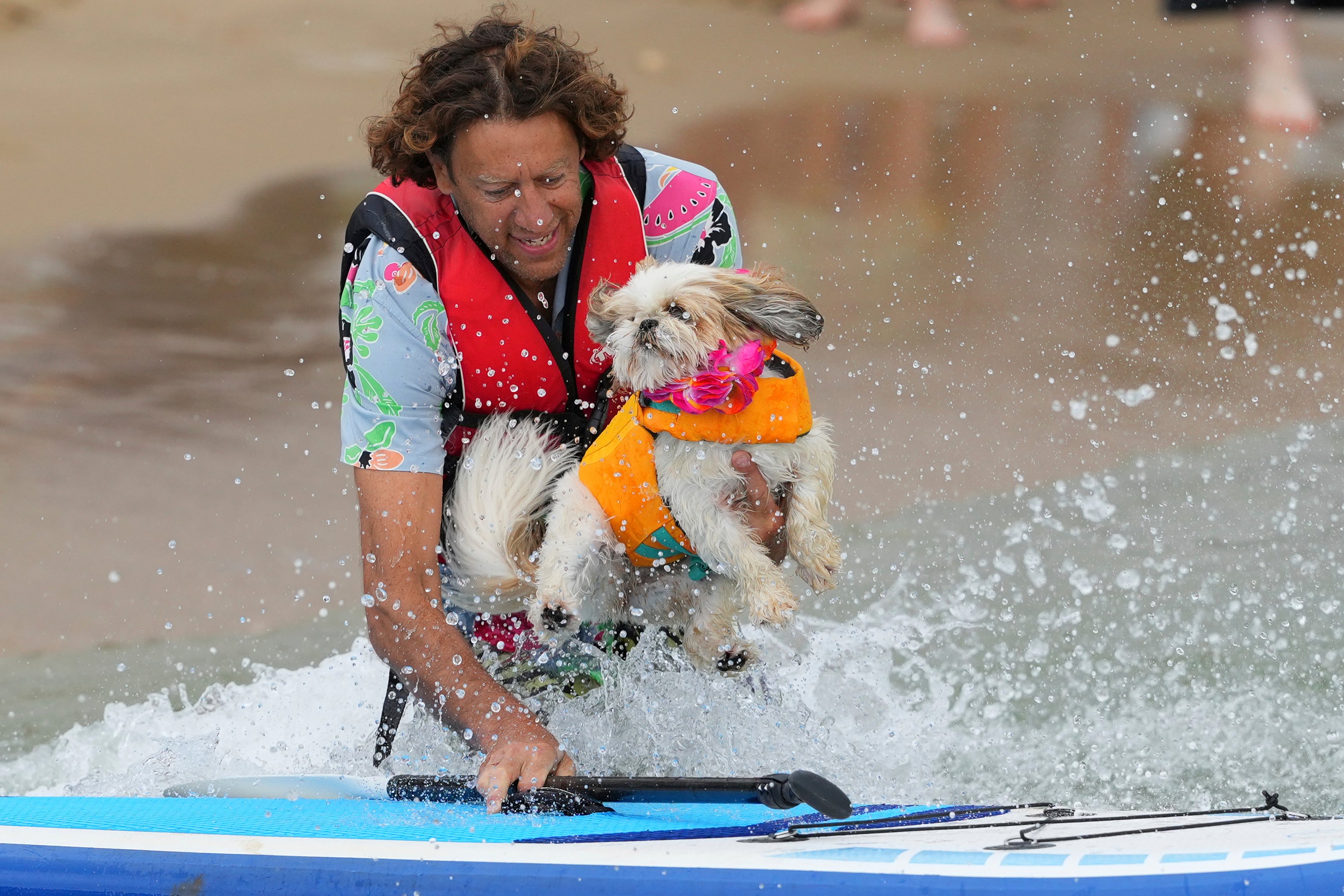 APTOPIX Britain Dog Surfing