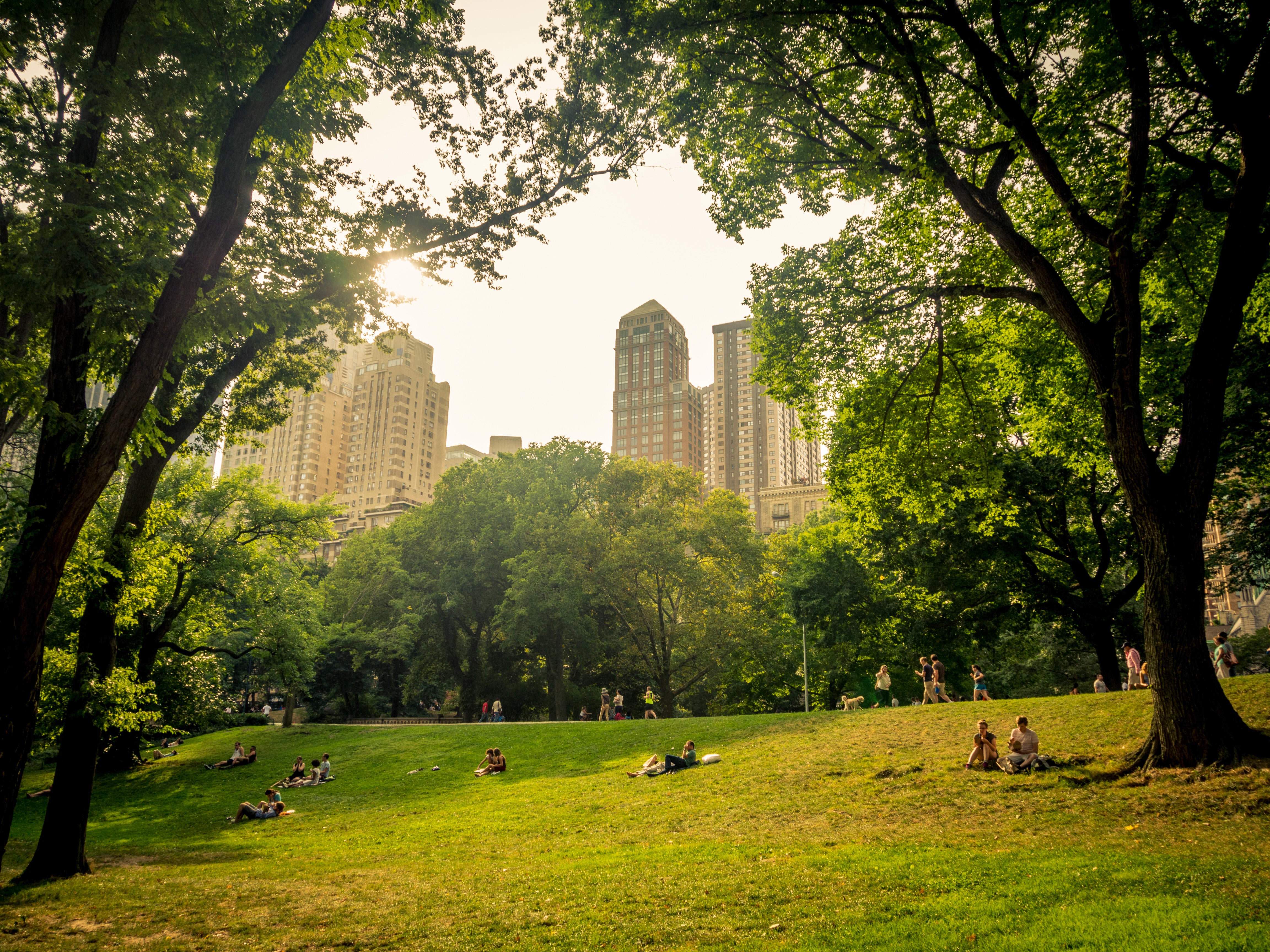 Central Park combines the city with nature