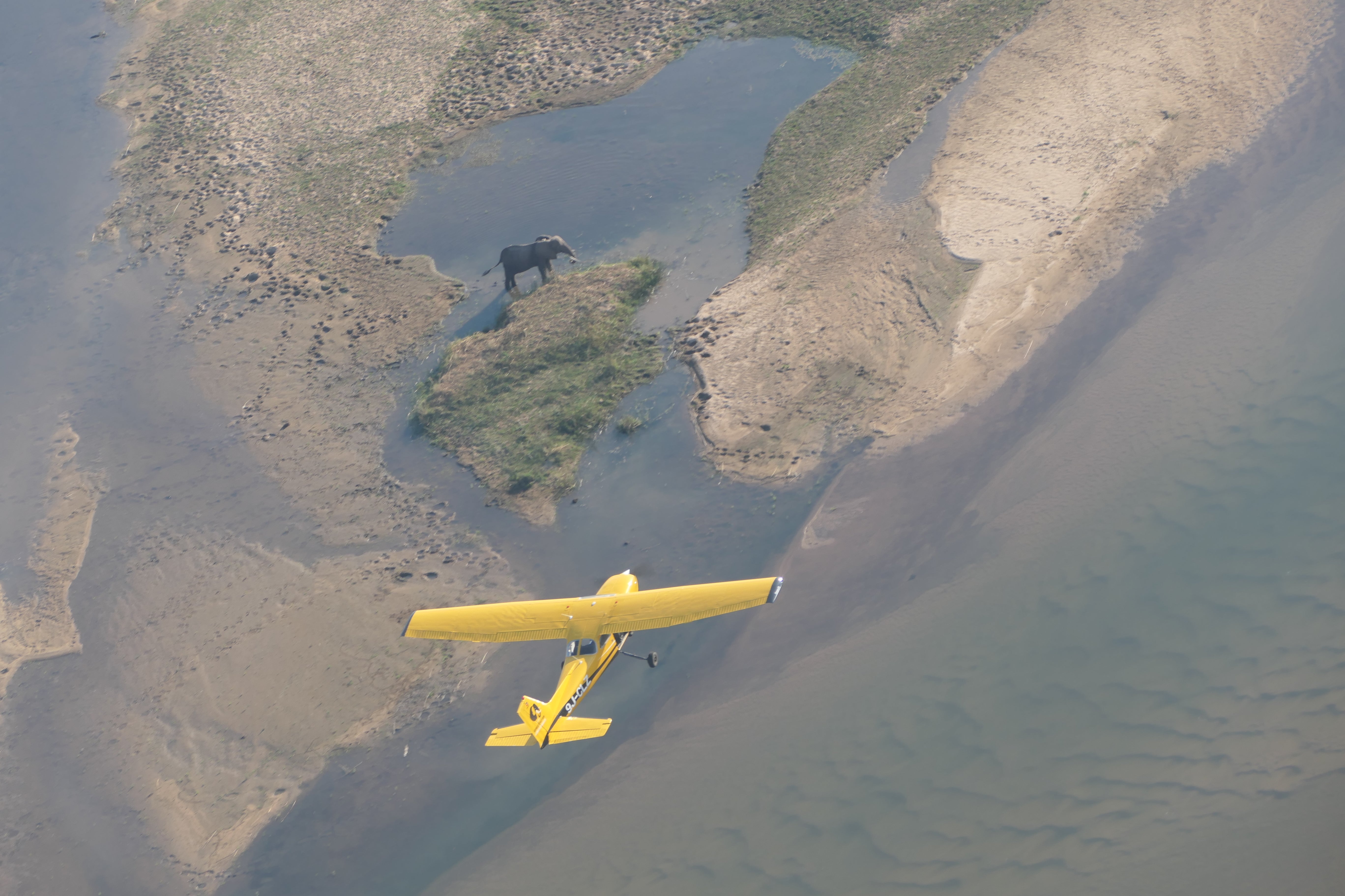 A CLZ aerial patrol spies an elephant on the Zambezi. The charity has also reduced the number of aerial unit patrols that it carries out due to USFWS cuts