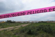 How pigs could help find missing Mexican drug cartel victims