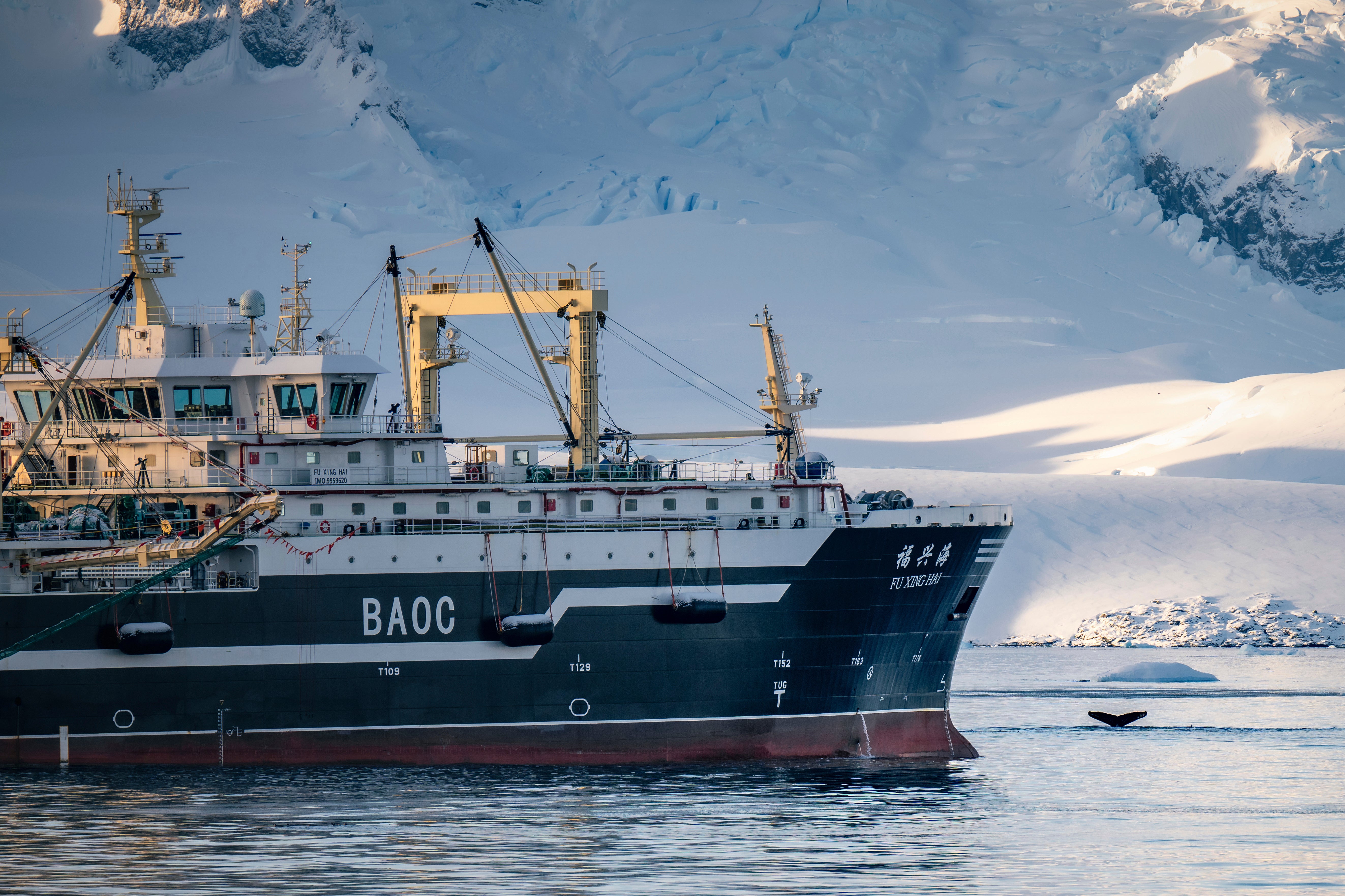 Ocean-Fisheries-Antarctic-Krill