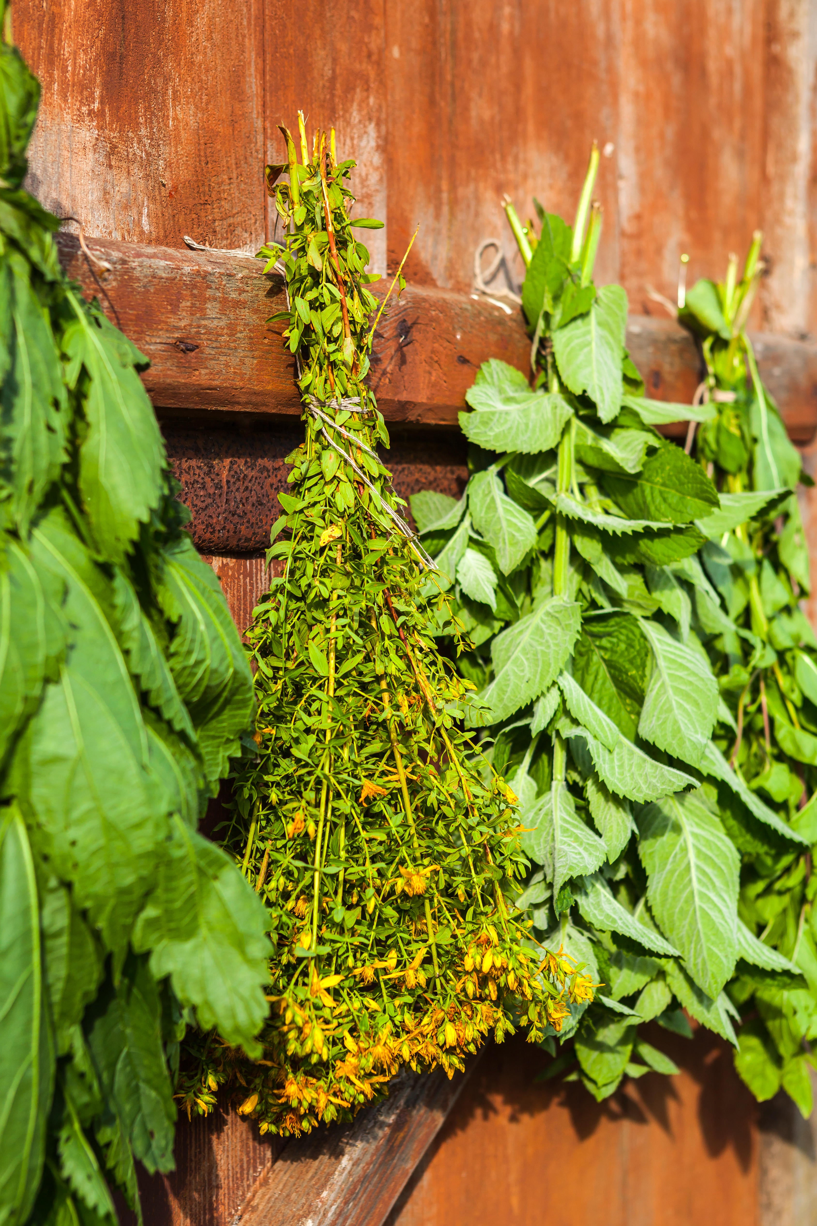Air drying is a great way to preserve herbs
