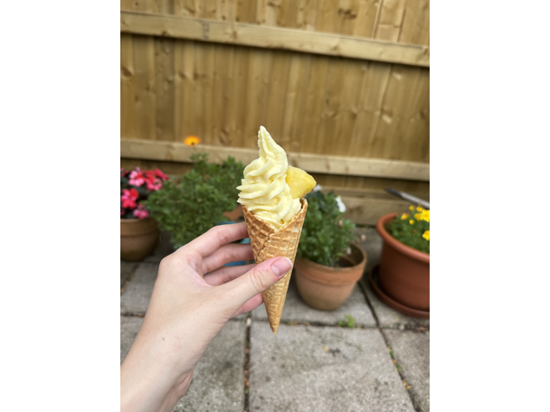 Ninja’s new soft serve ice cream machine has launched test image indybest