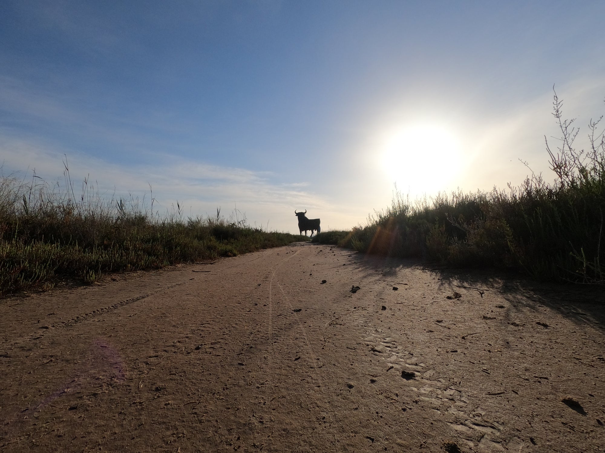 'Osbourne bull' silhouettes still stand on hilltops and at the side of highways in Spain