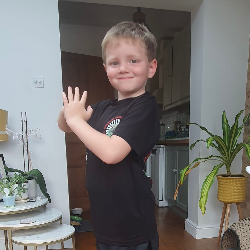Freddie se učil křídlo Chun před jeho diagnózou